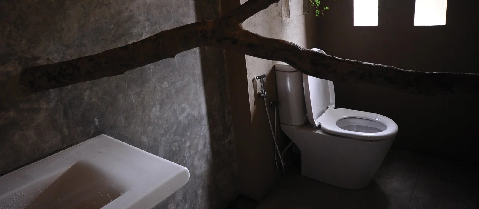 A bathroom featuring a white toilet, a bidet, and a natural tree branch across the room. The room has stone or concrete walls with three small rectangular windows allowing natural light.