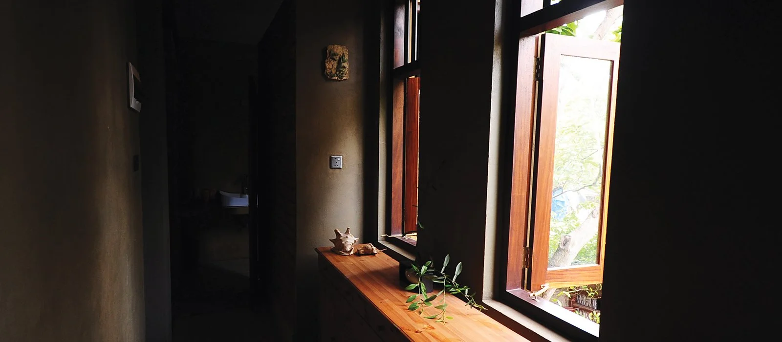 Dark hallway with a window showing a tree outside, windowsill decorated with seashells and a green plant, natural light entering from the open window.