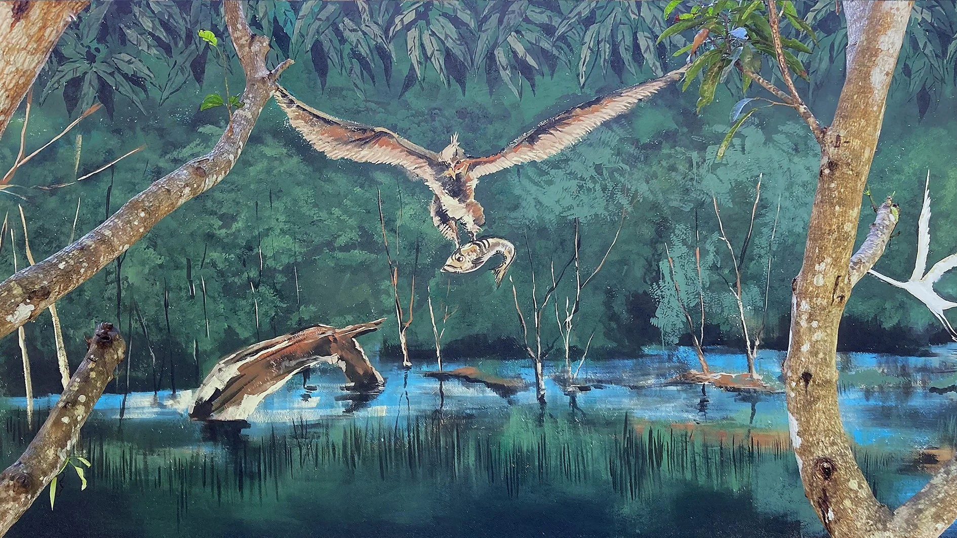 Painting of a bird of prey catching a fish in a swampy forest with trees and water.