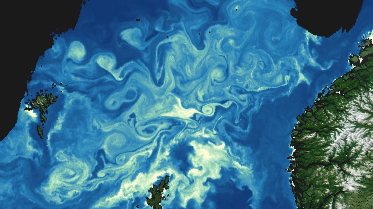 The Uncertainty Premium: Why Nature-Based Projects Need Actuarial Science