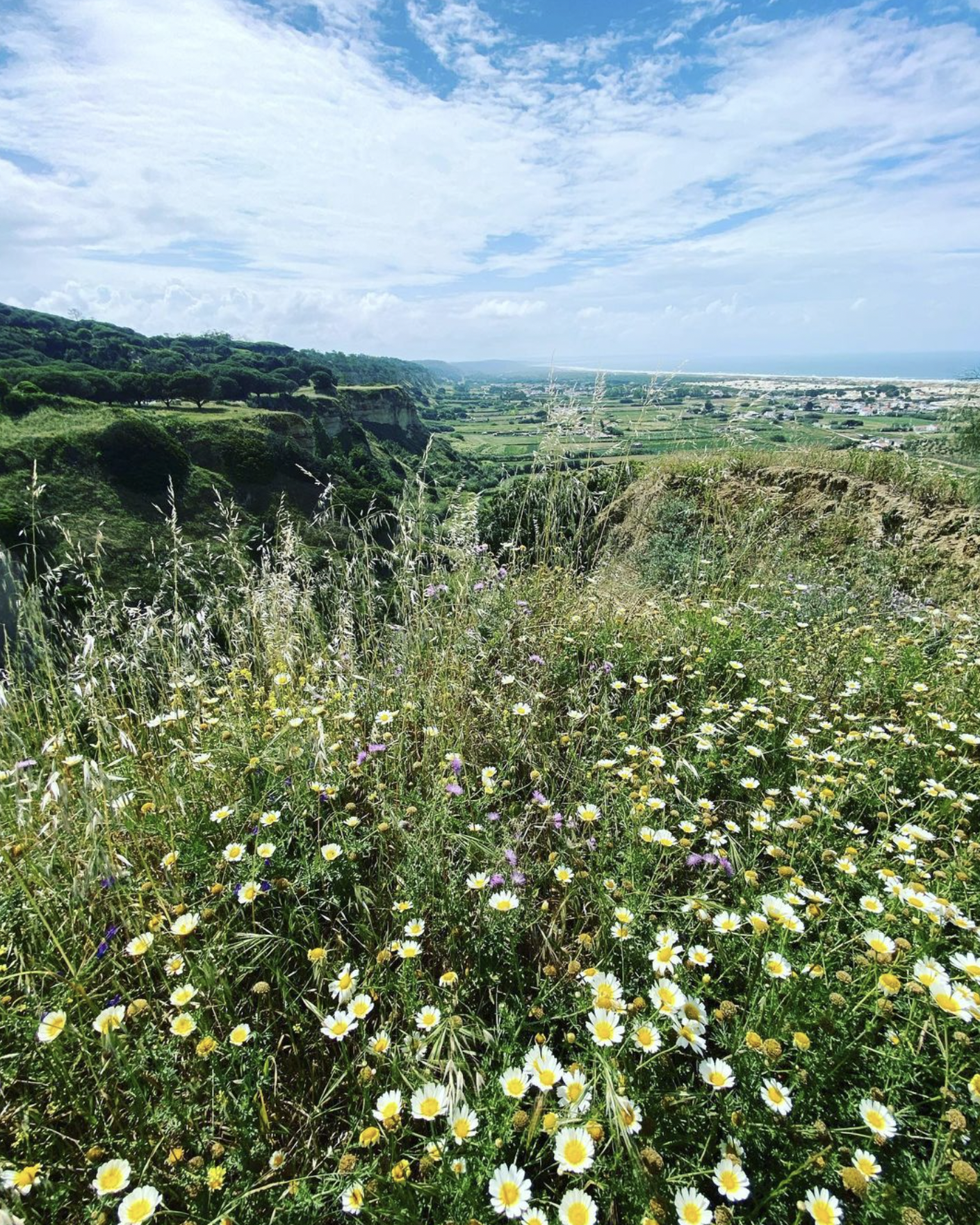 Screenshot 2024-03-06 at 18.49.38.png