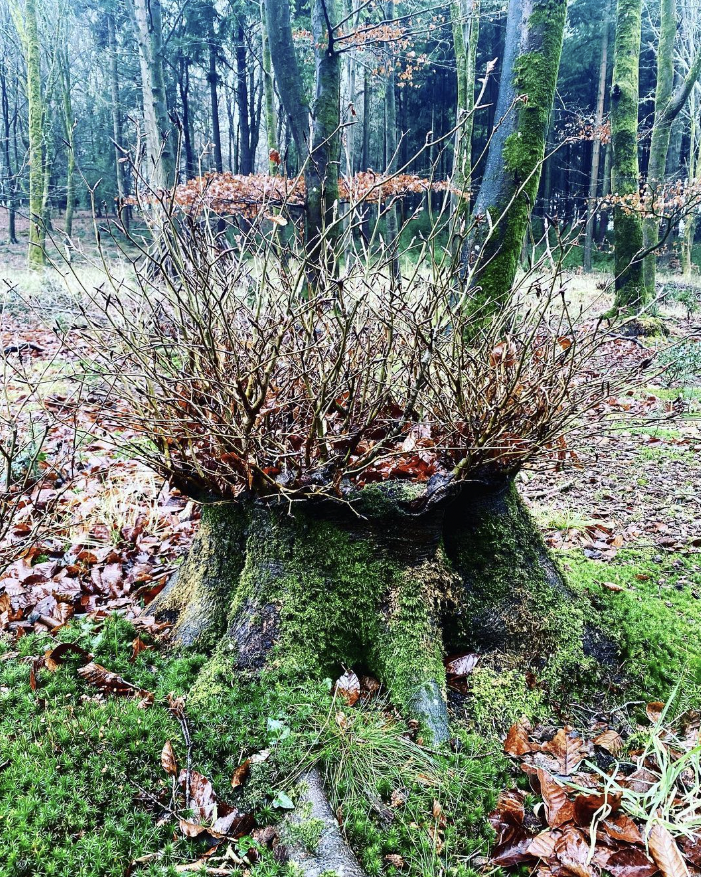 Screenshot 2024-03-06 at 18.43.22.png