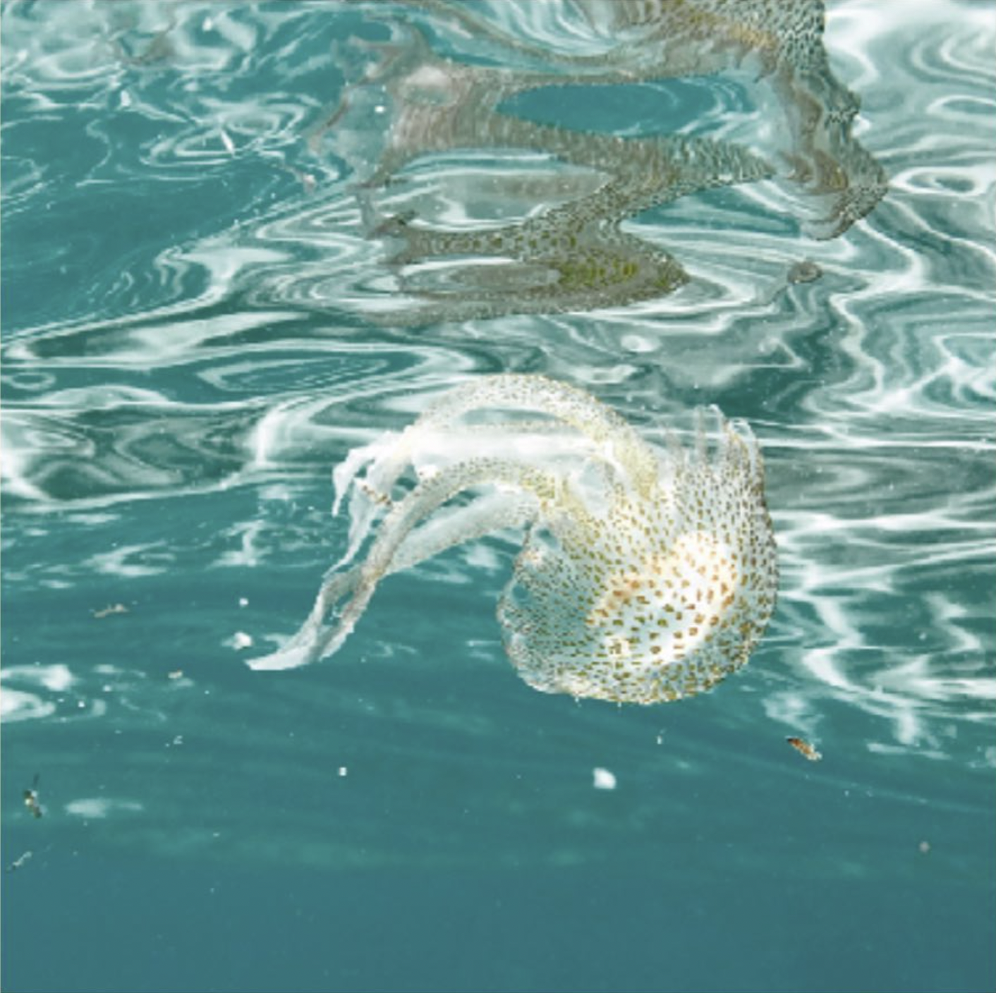 Screenshot 2024-03-06 at 18.40.31.png