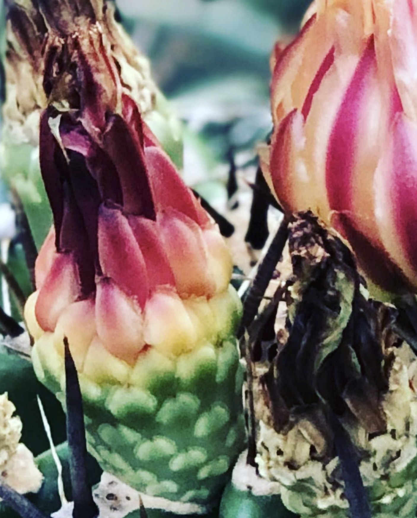 Screenshot 2024-03-06 at 18.49.17.png