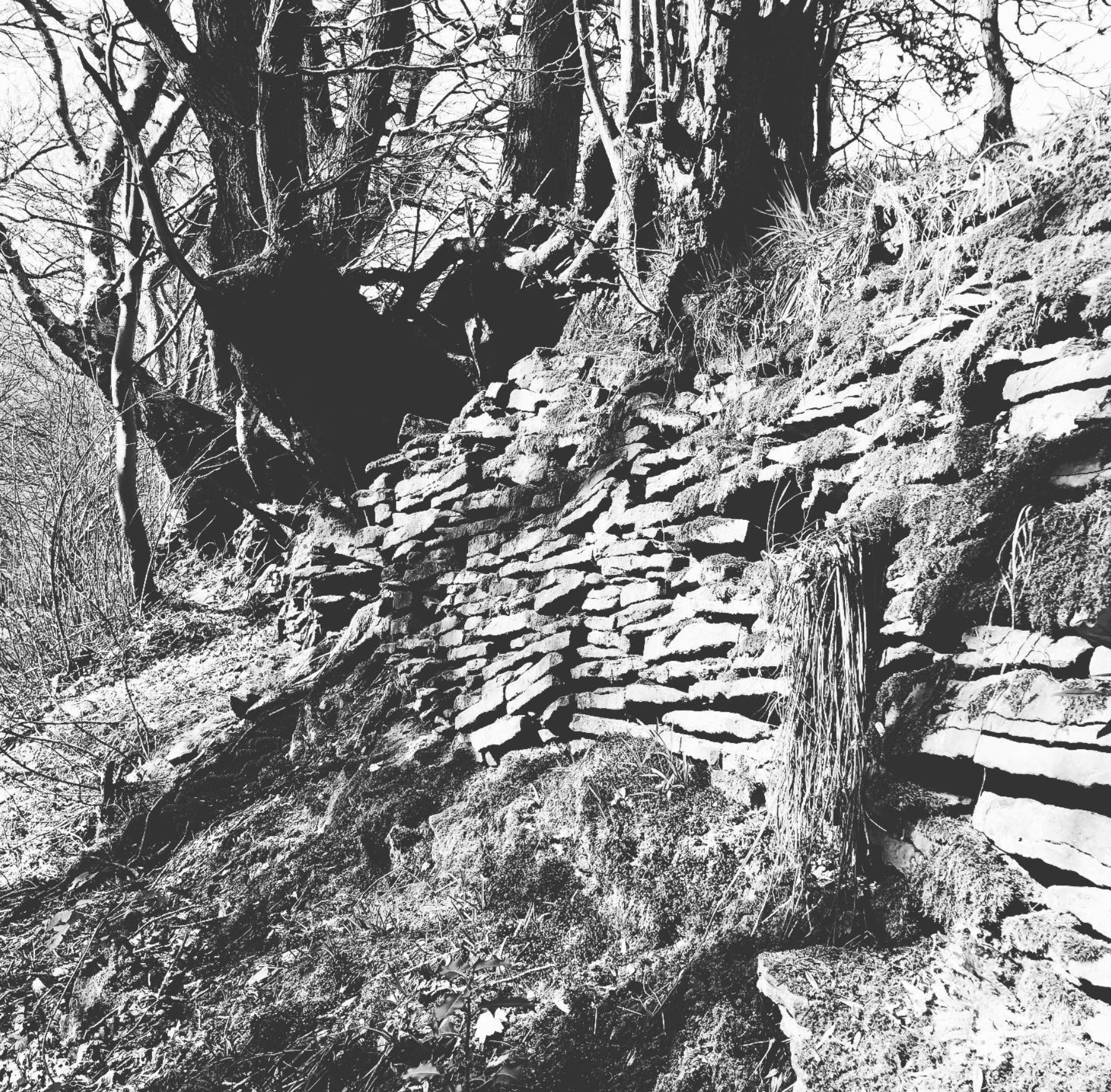 Screenshot 2024-03-06 at 19.35.32.png