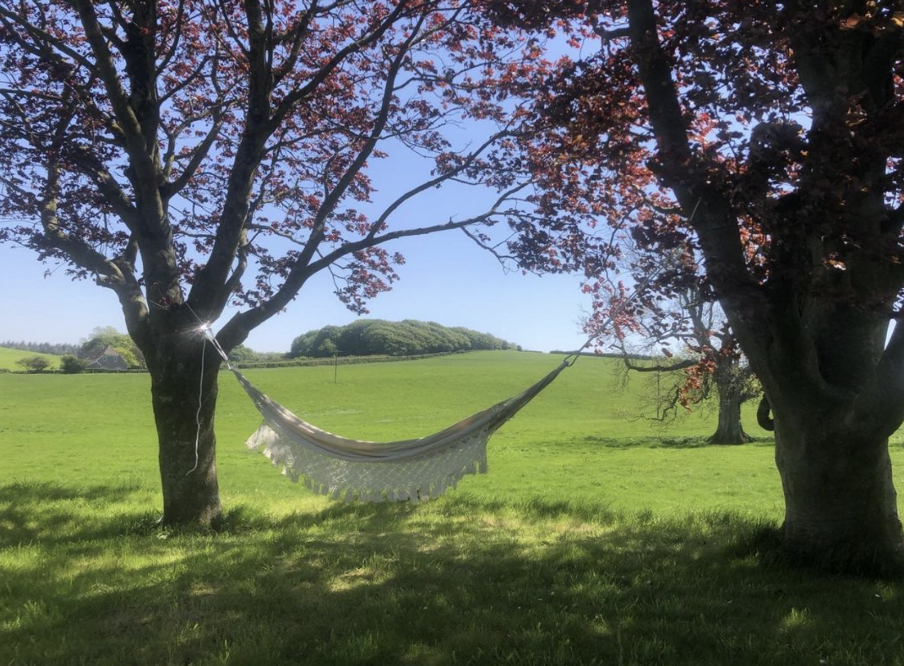 Screenshot 2024-03-06 at 18.50.09.png