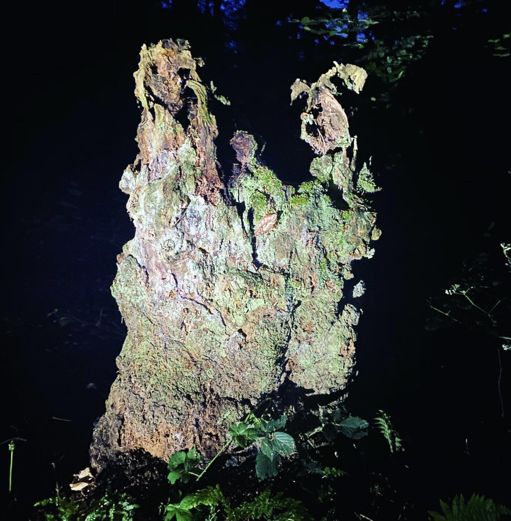 Screenshot 2024-03-06 at 19.27.27.png