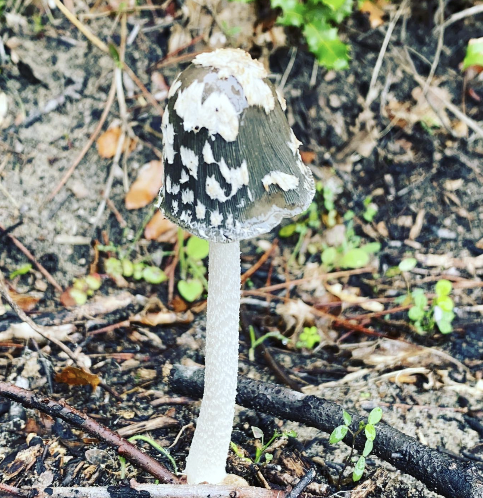 Screenshot 2024-03-06 at 18.57.06.png