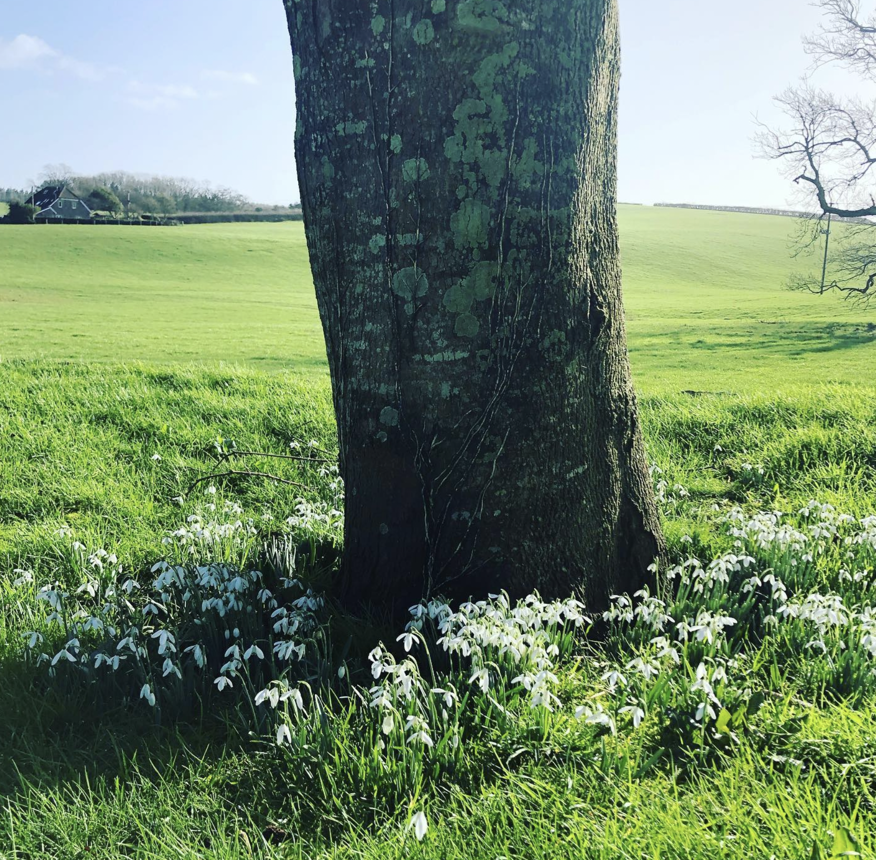 Screenshot 2024-03-06 at 19.30.49.png