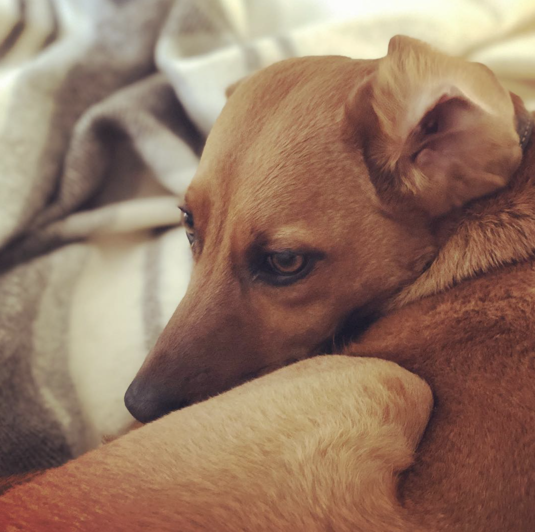 Screenshot 2024-03-06 at 19.37.14.png