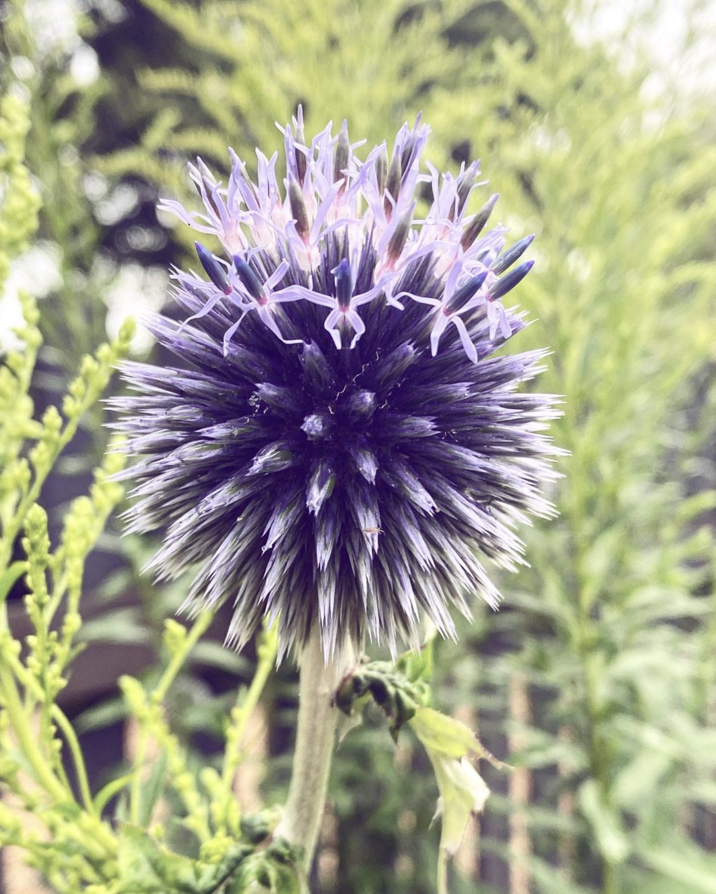 Screenshot 2024-03-06 at 18.43.43.png