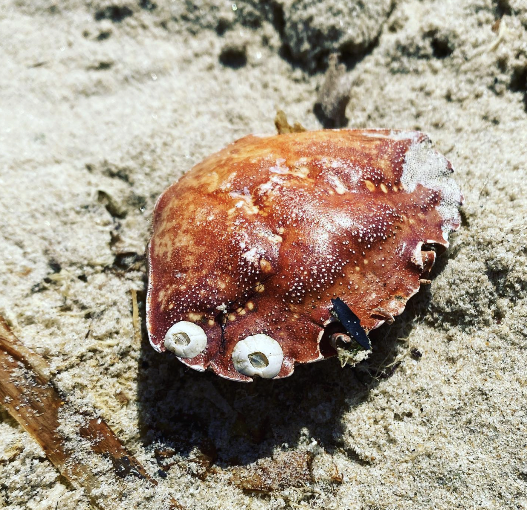 Screenshot 2024-03-06 at 18.44.09.png