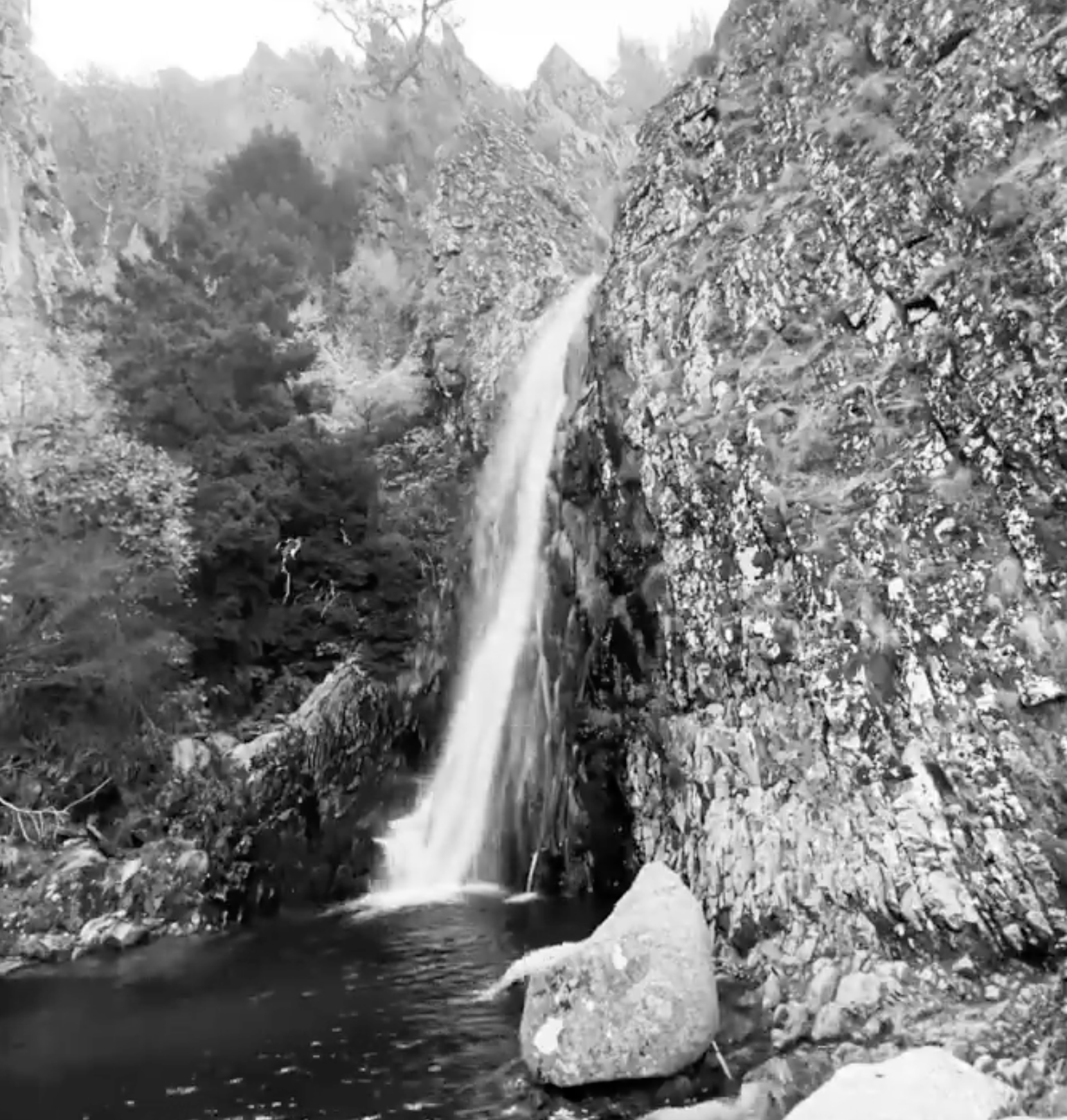 Screenshot 2024-03-06 at 19.07.56.png