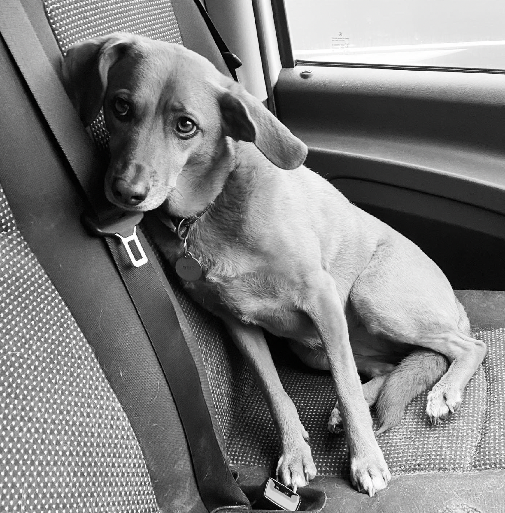 Screenshot 2024-03-06 at 18.45.37.png