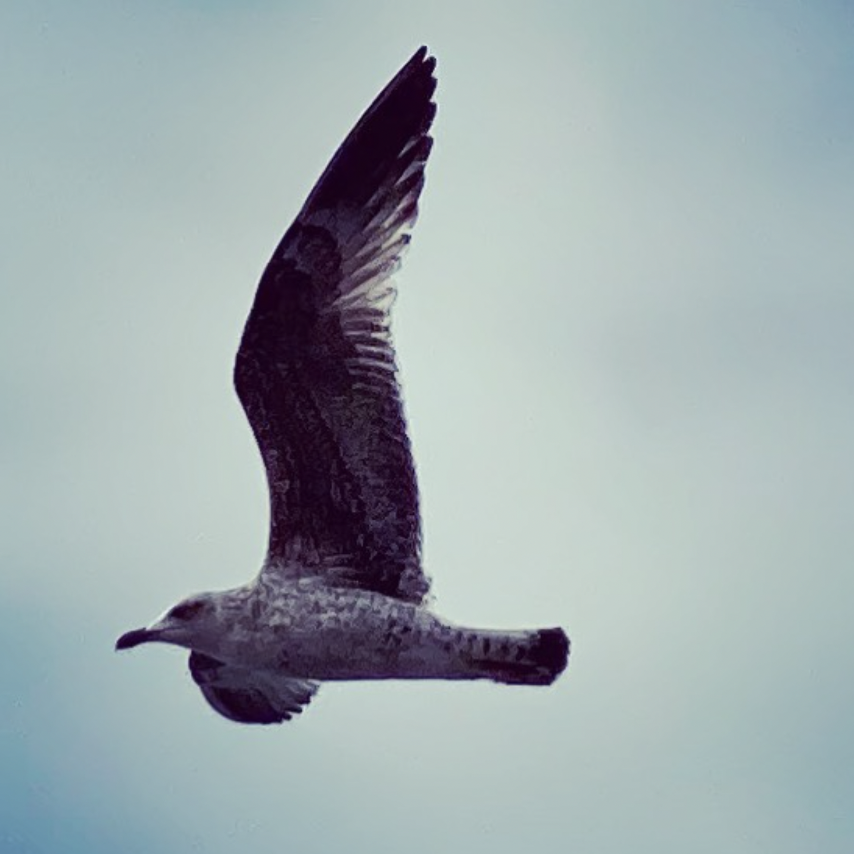 Screenshot 2024-03-06 at 18.51.46.png