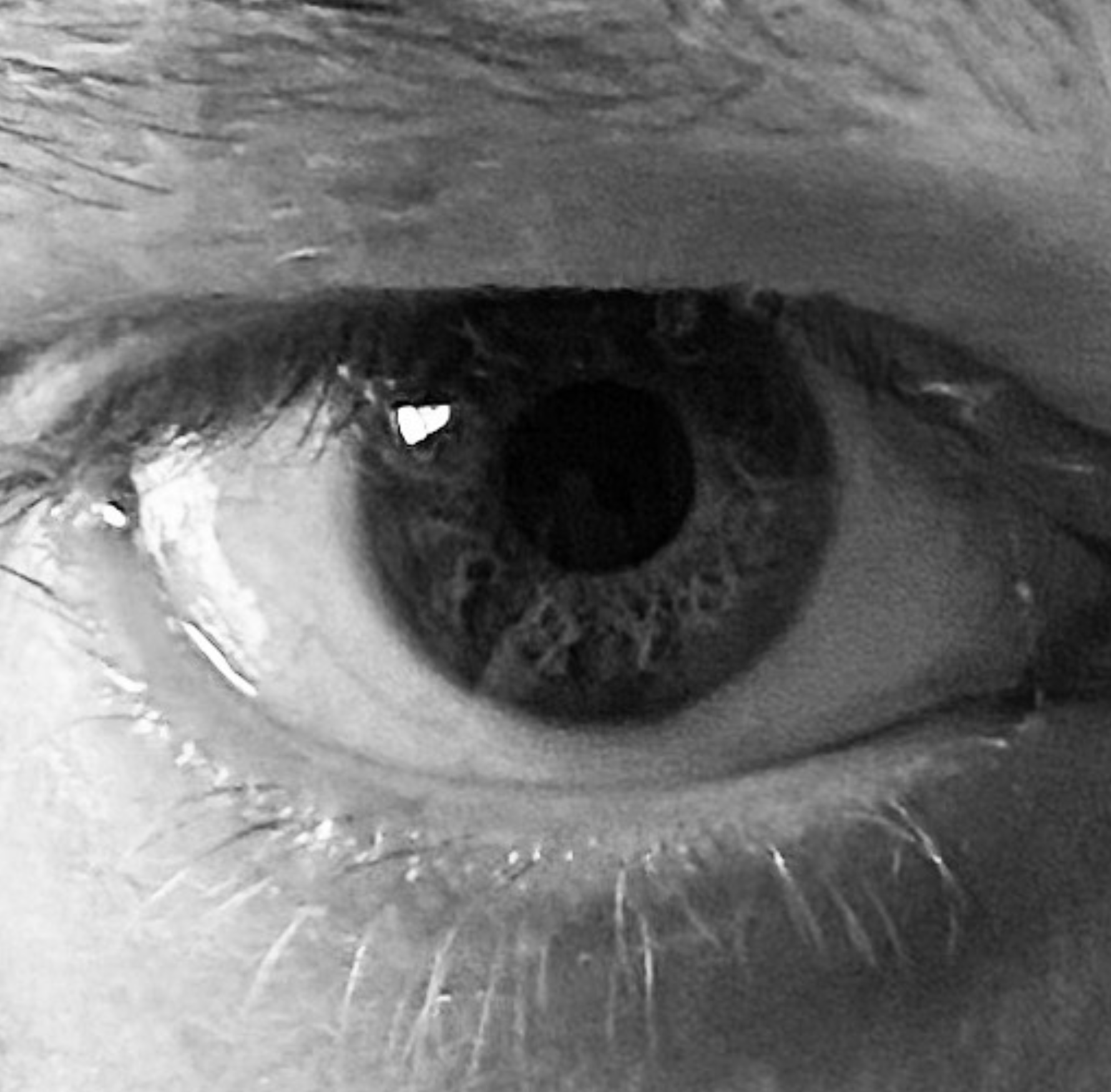 Screenshot 2024-03-06 at 18.49.59.png