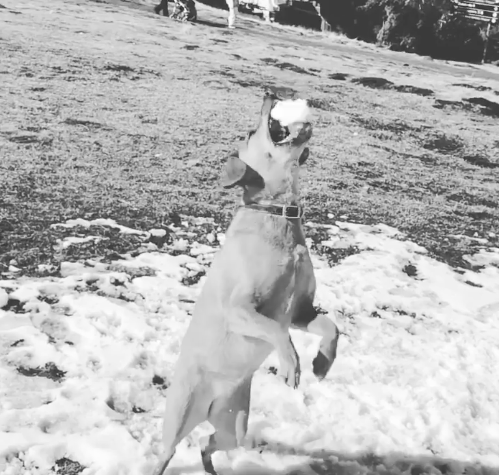 Screenshot 2024-03-06 at 19.30.05.png