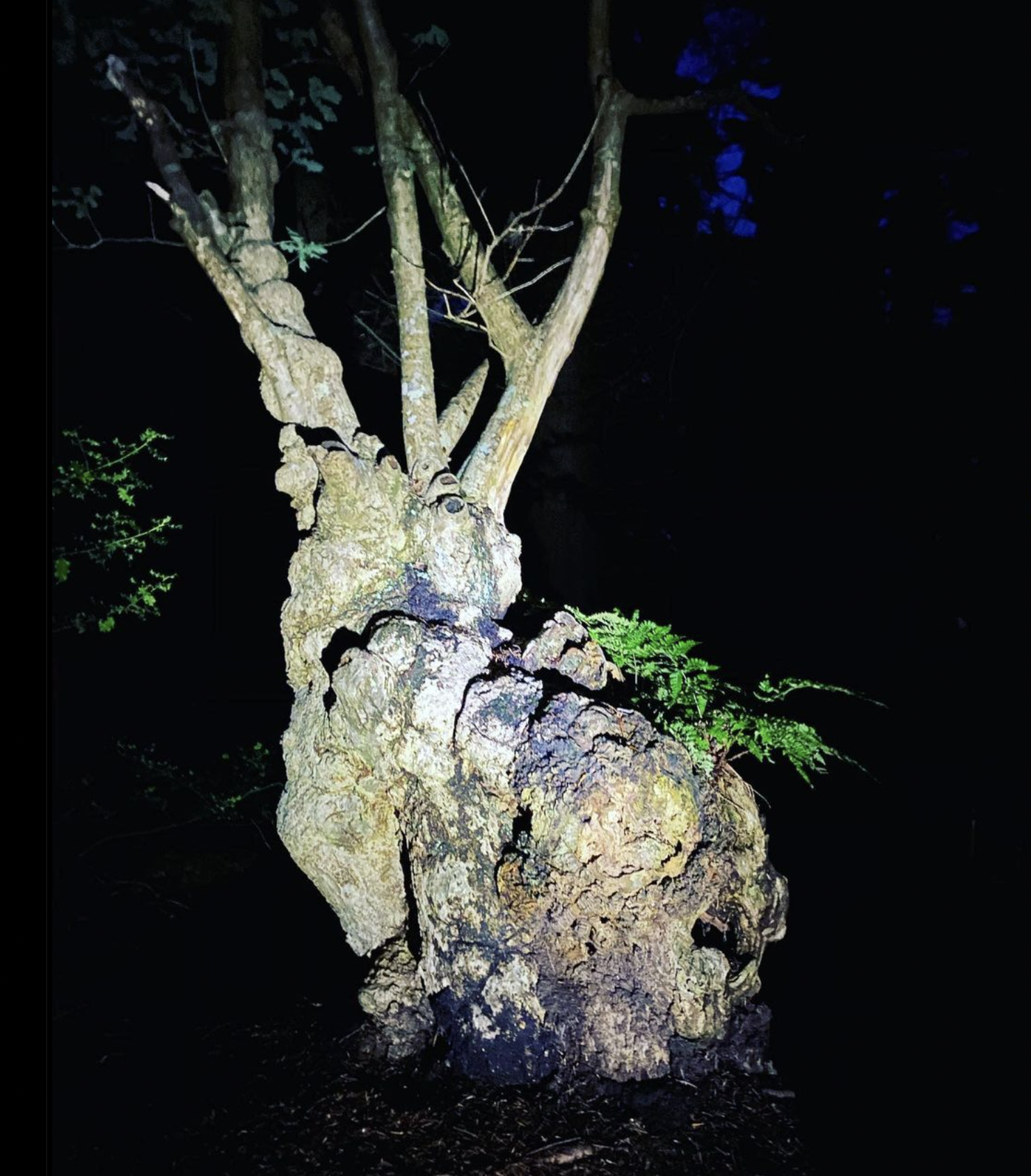 Screenshot 2024-03-06 at 19.27.51.png