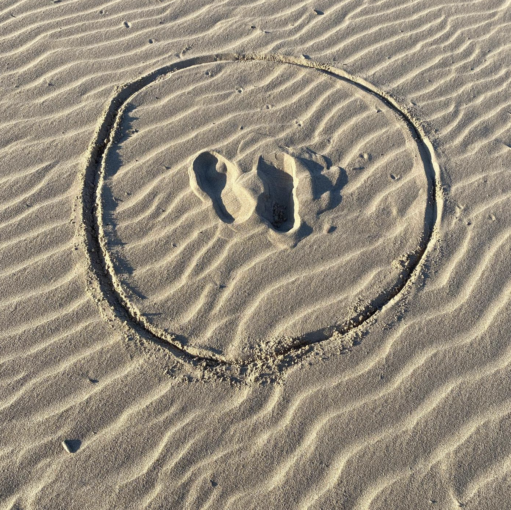 Screenshot 2024-03-06 at 18.55.41.png