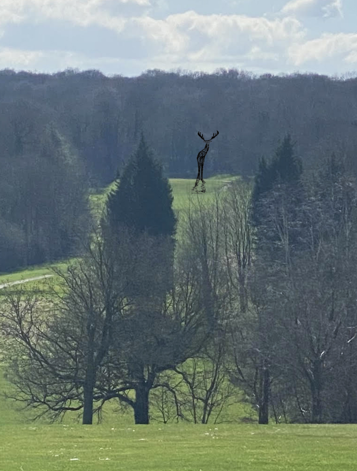 Screenshot 2024-03-07 at 08.49.33.png