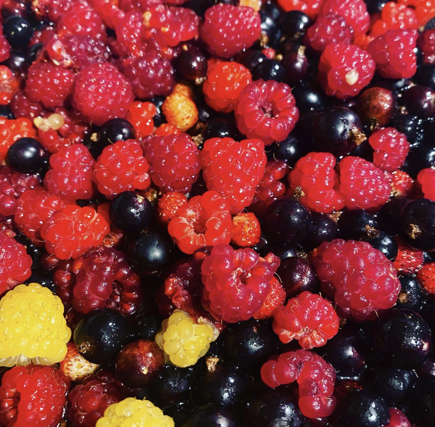 Screenshot 2024-03-06 at 19.27.14.png