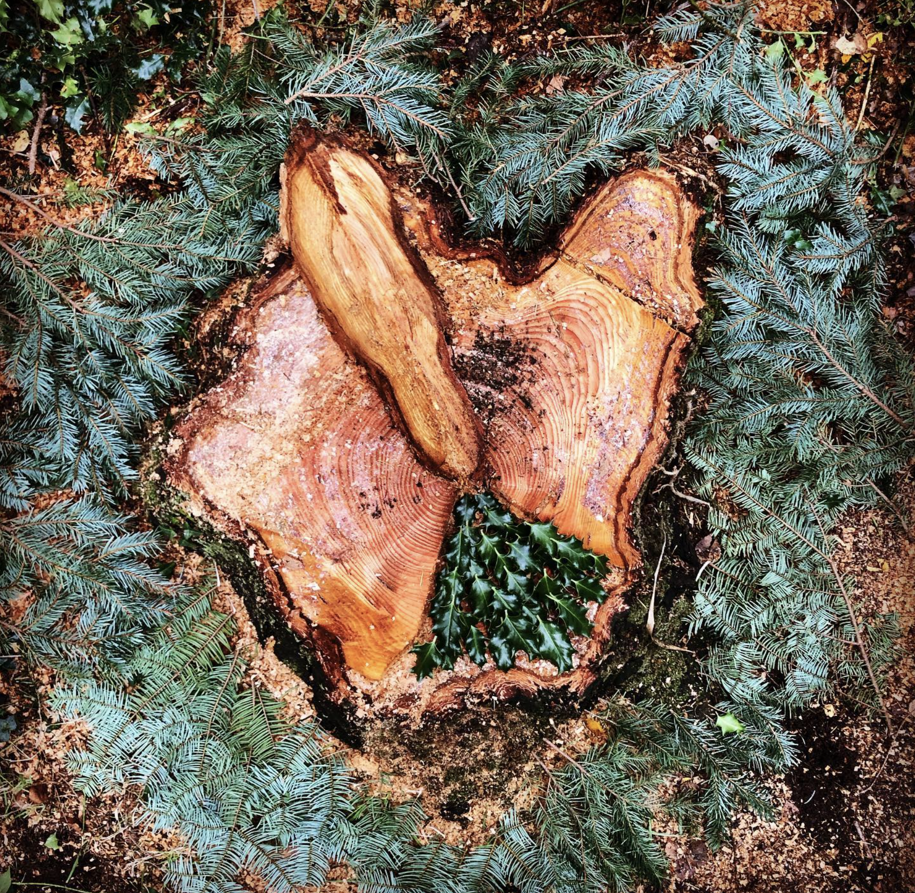 Screenshot 2024-03-06 at 19.33.16.png