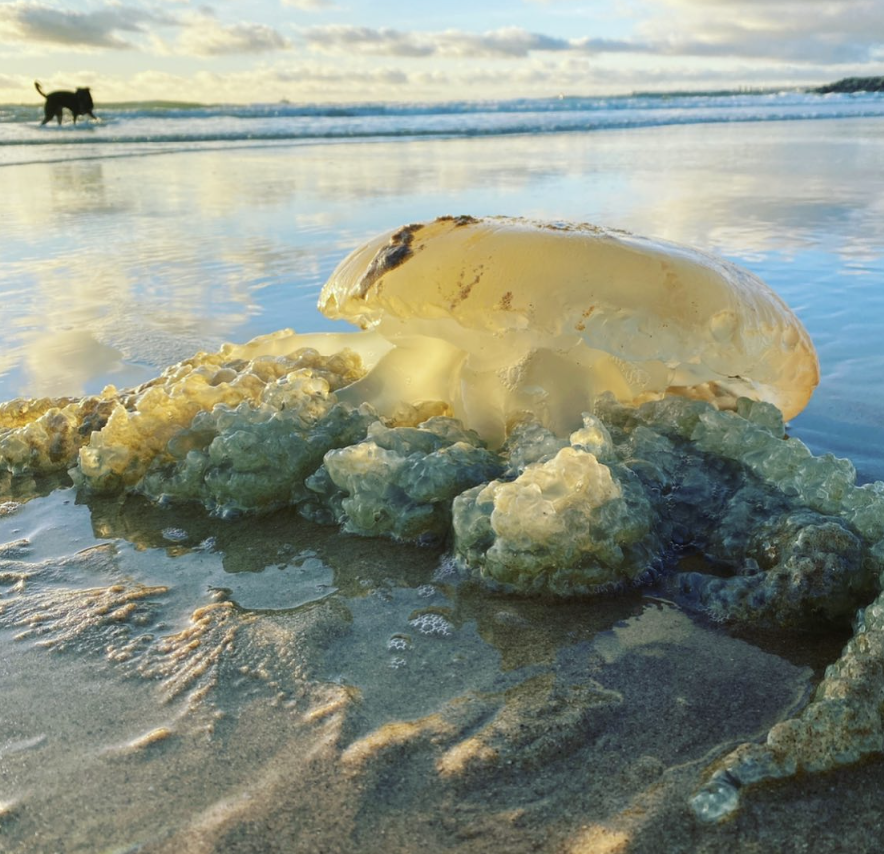 Screenshot 2024-03-06 at 18.44.21.png