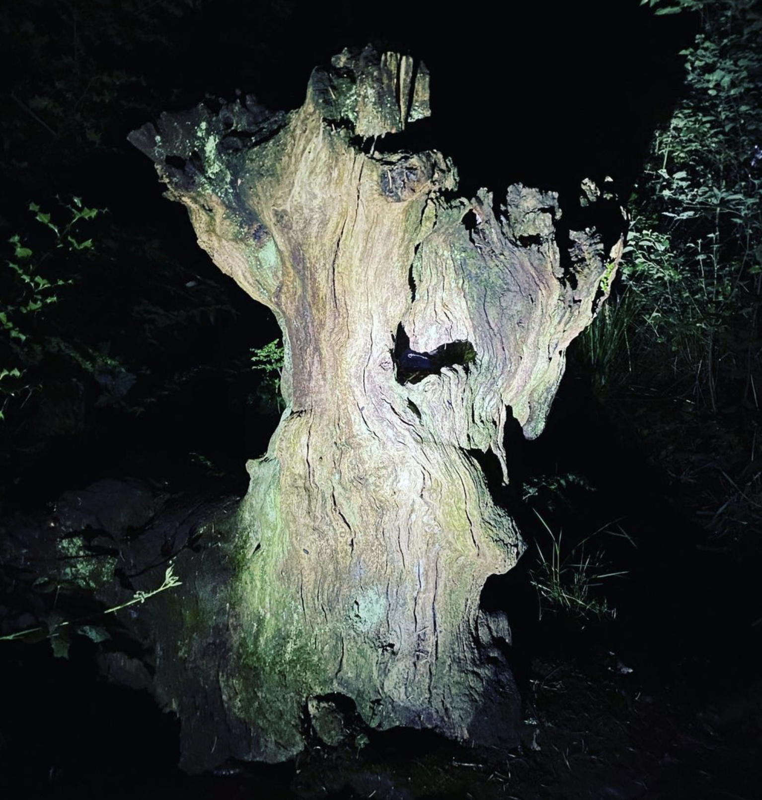 Screenshot 2024-03-06 at 19.27.58.png