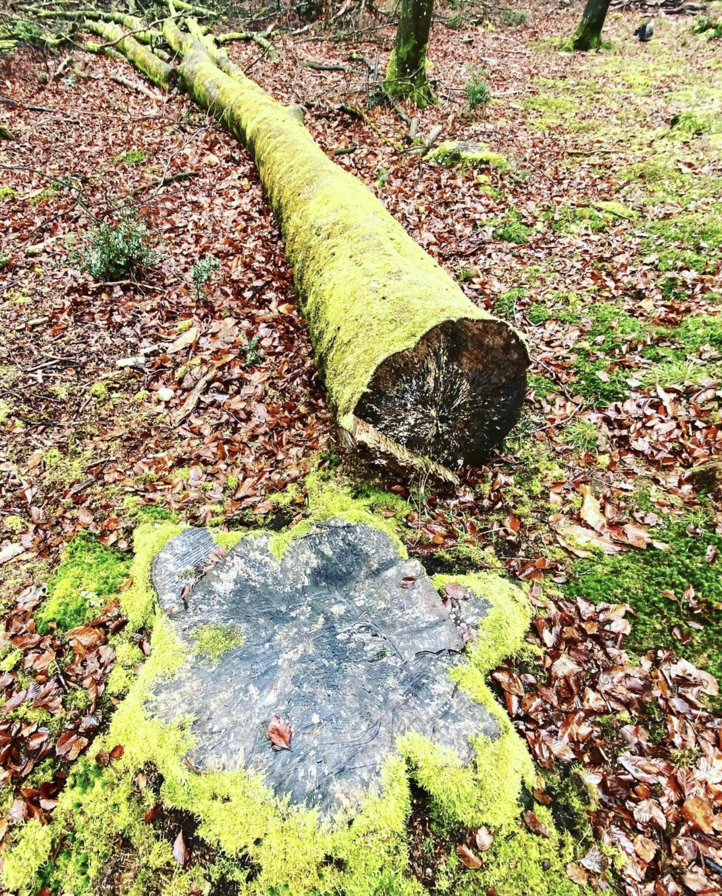 Screenshot 2024-03-06 at 18.43.13.png