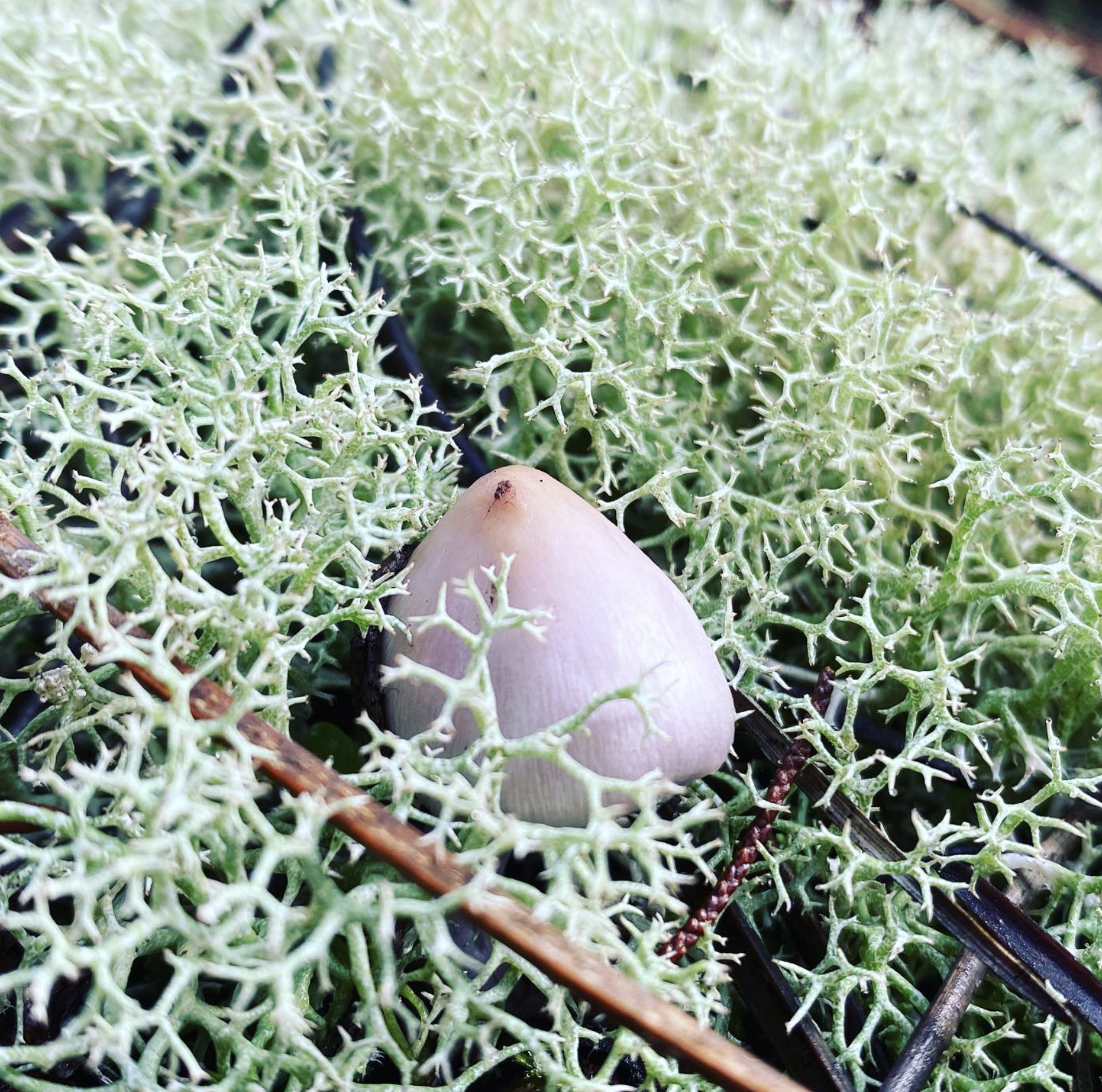 Screenshot 2024-03-06 at 18.57.14.png