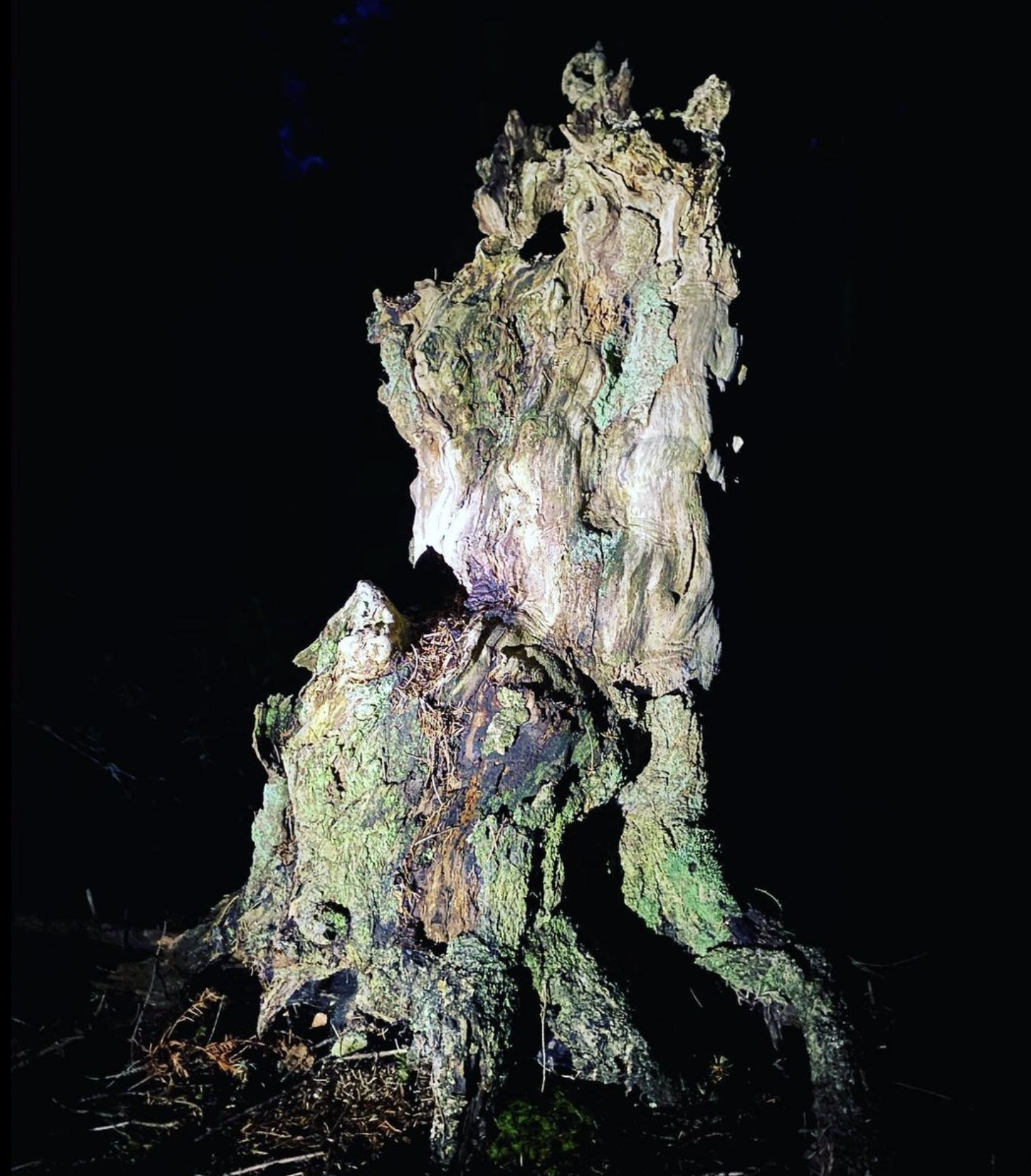 Screenshot 2024-03-06 at 19.27.42.png