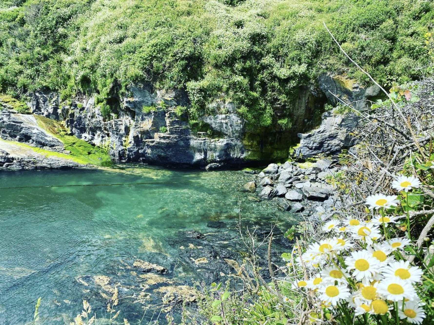 Screenshot 2024-03-06 at 18.48.39.png