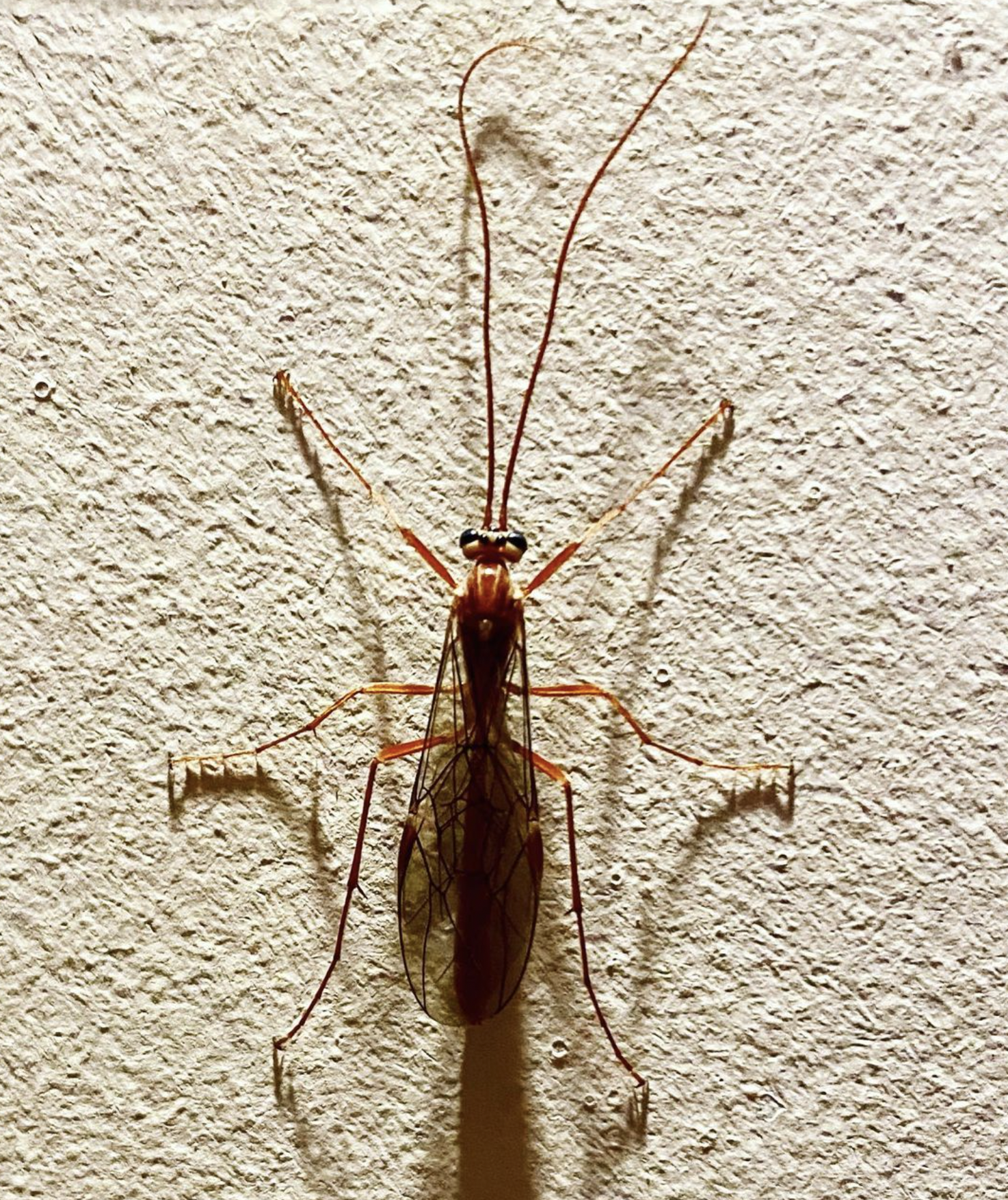 Screenshot 2024-03-06 at 18.45.53.png