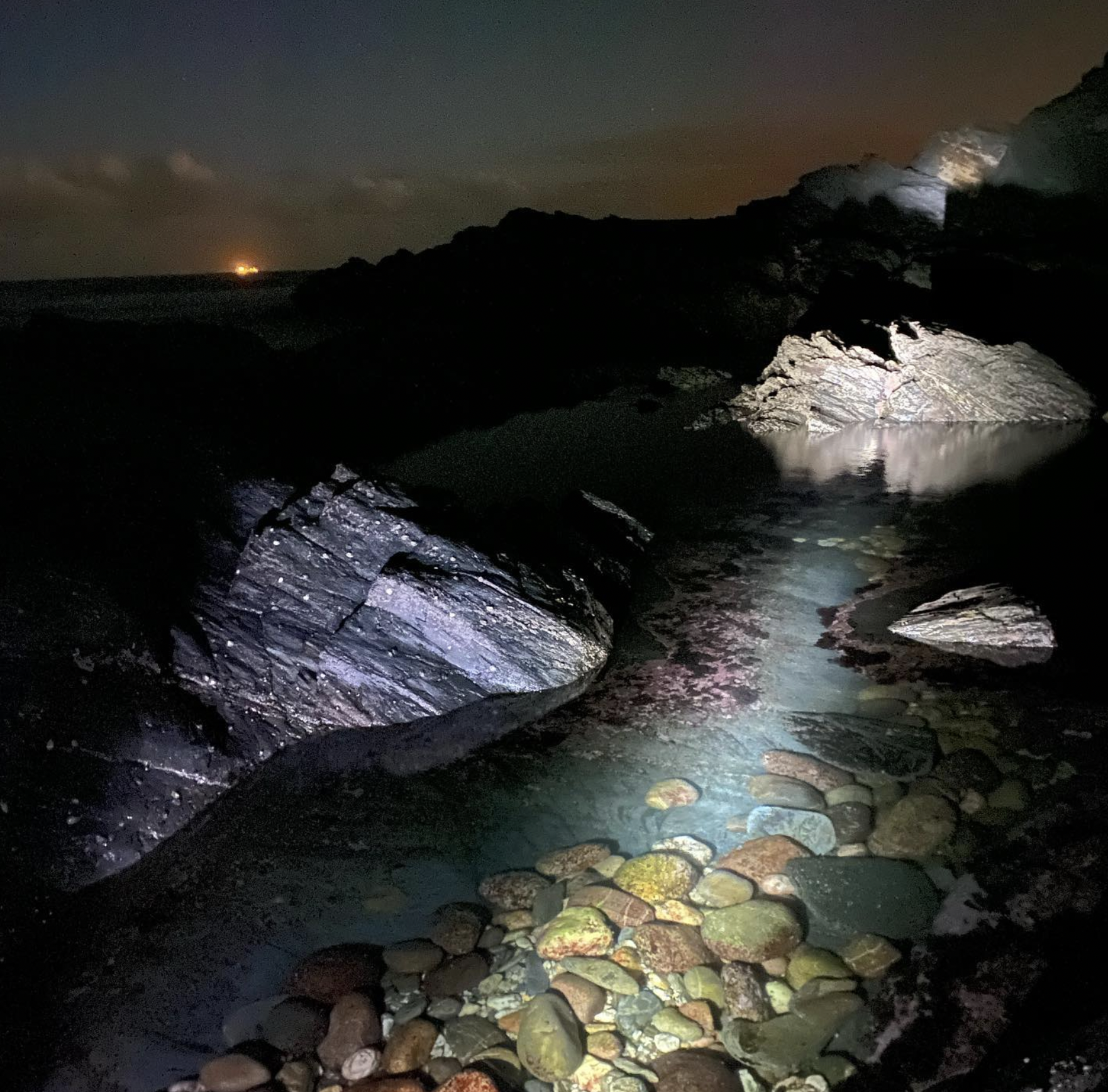 Screenshot 2024-03-06 at 18.56.10.png