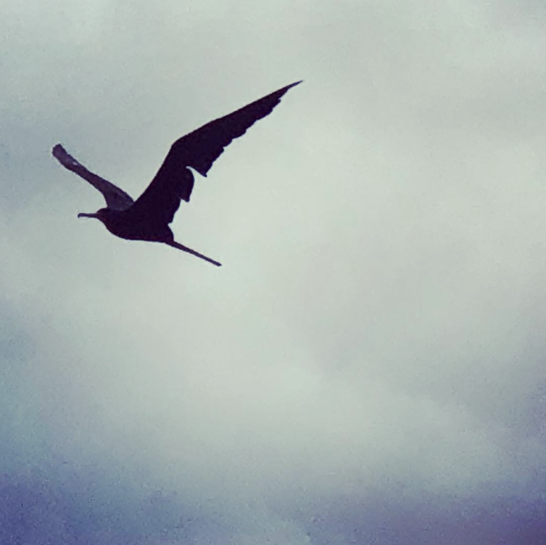 Screenshot 2024-03-06 at 19.38.11.png