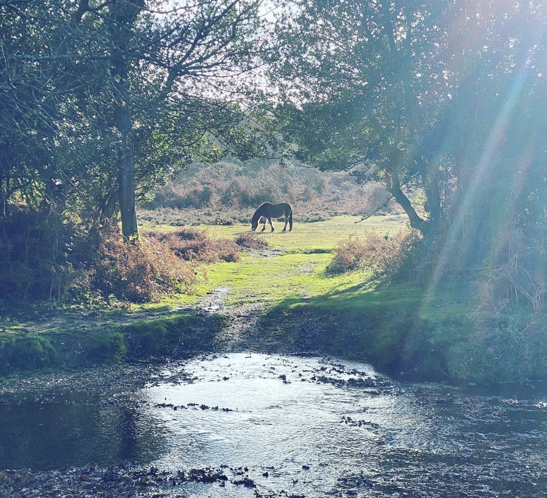 Screenshot 2024-03-06 at 18.45.00.png