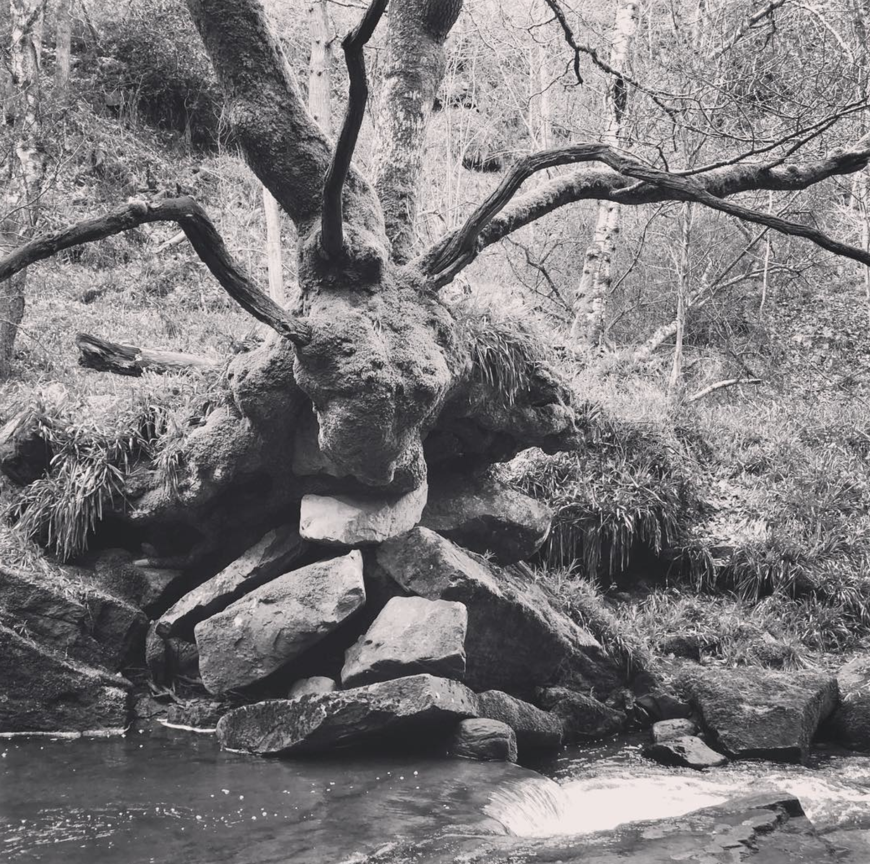 Screenshot 2024-03-06 at 19.36.50.png