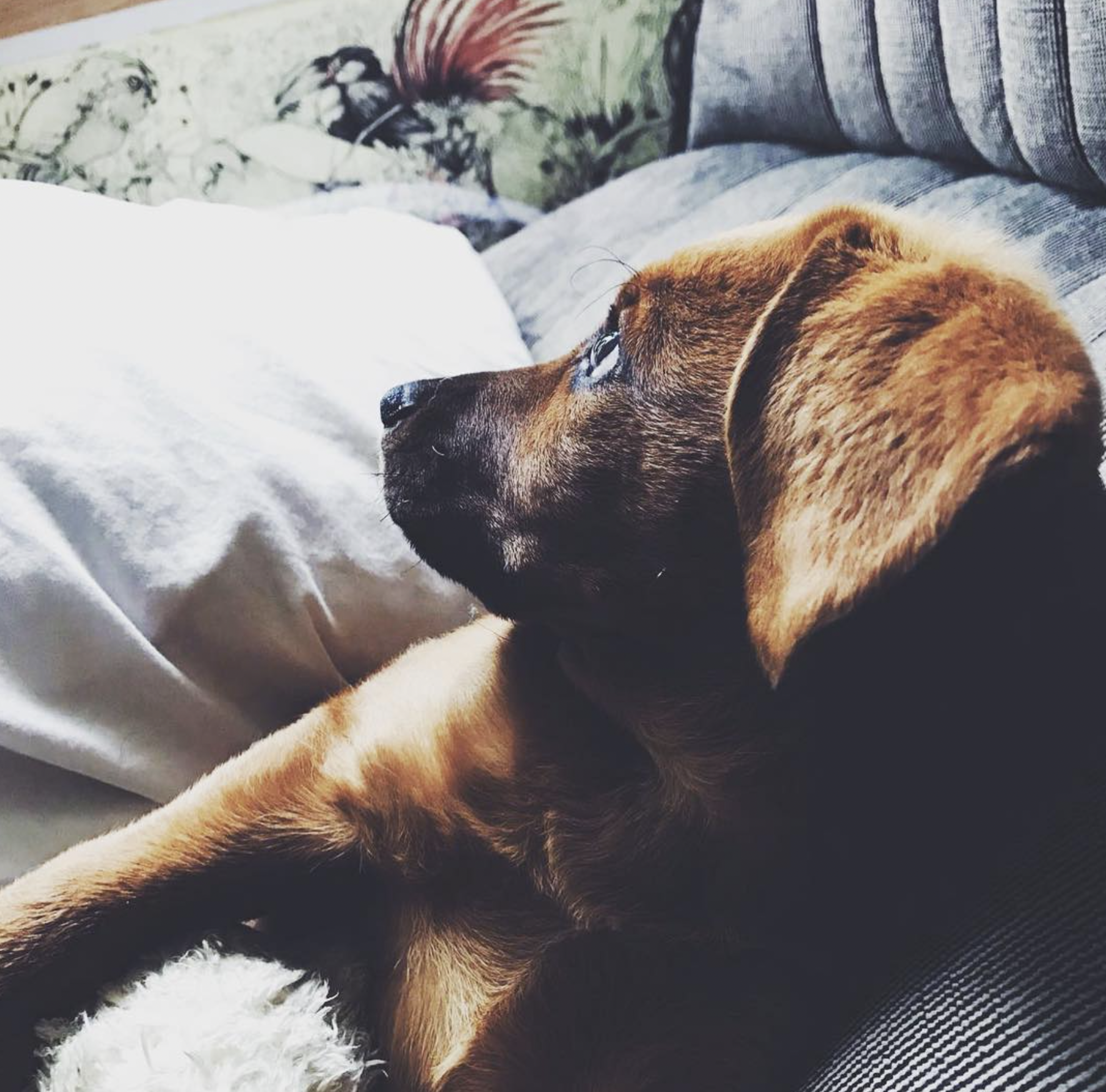 Screenshot 2024-03-06 at 19.39.12.png