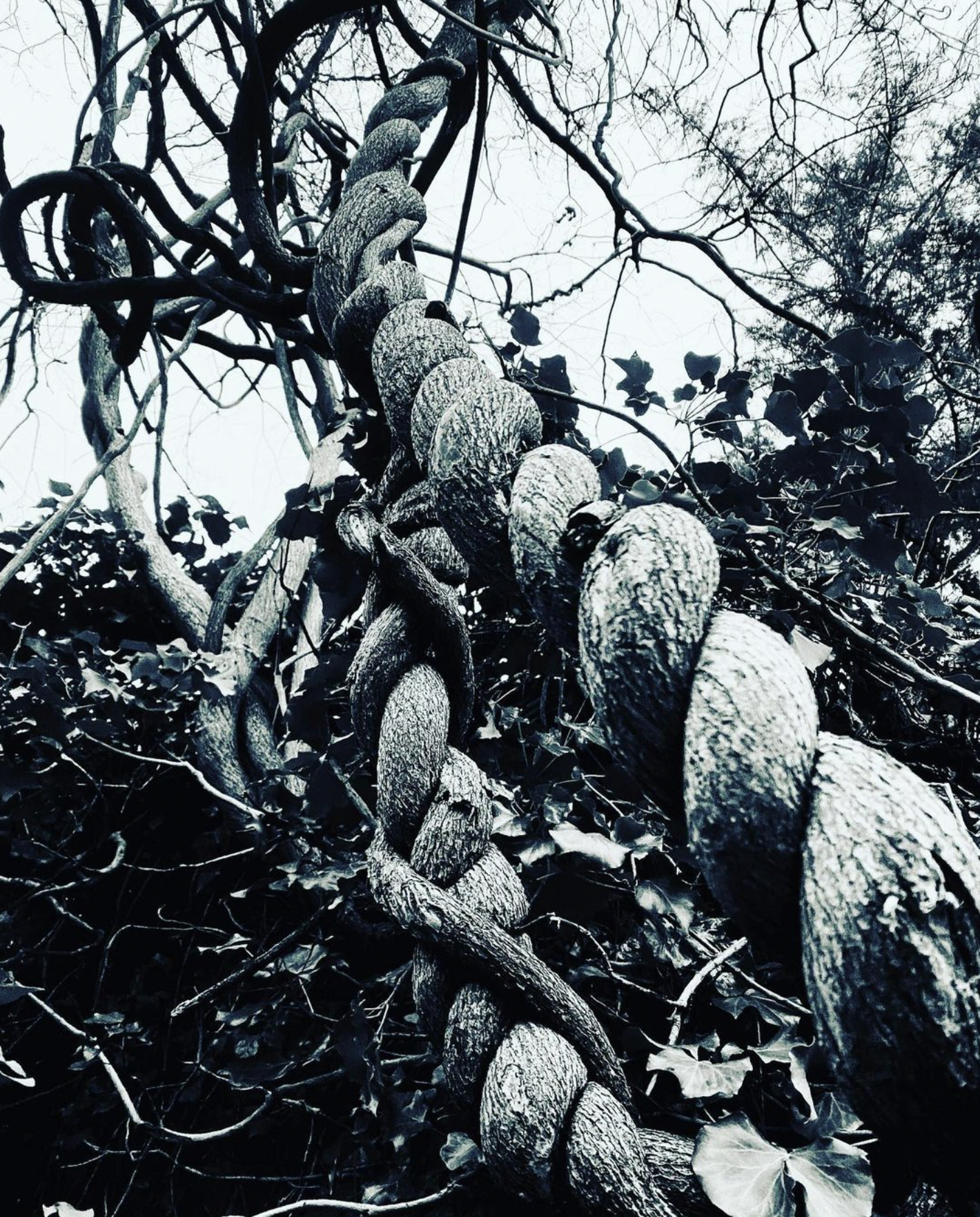 Screenshot 2024-03-06 at 18.42.24.png