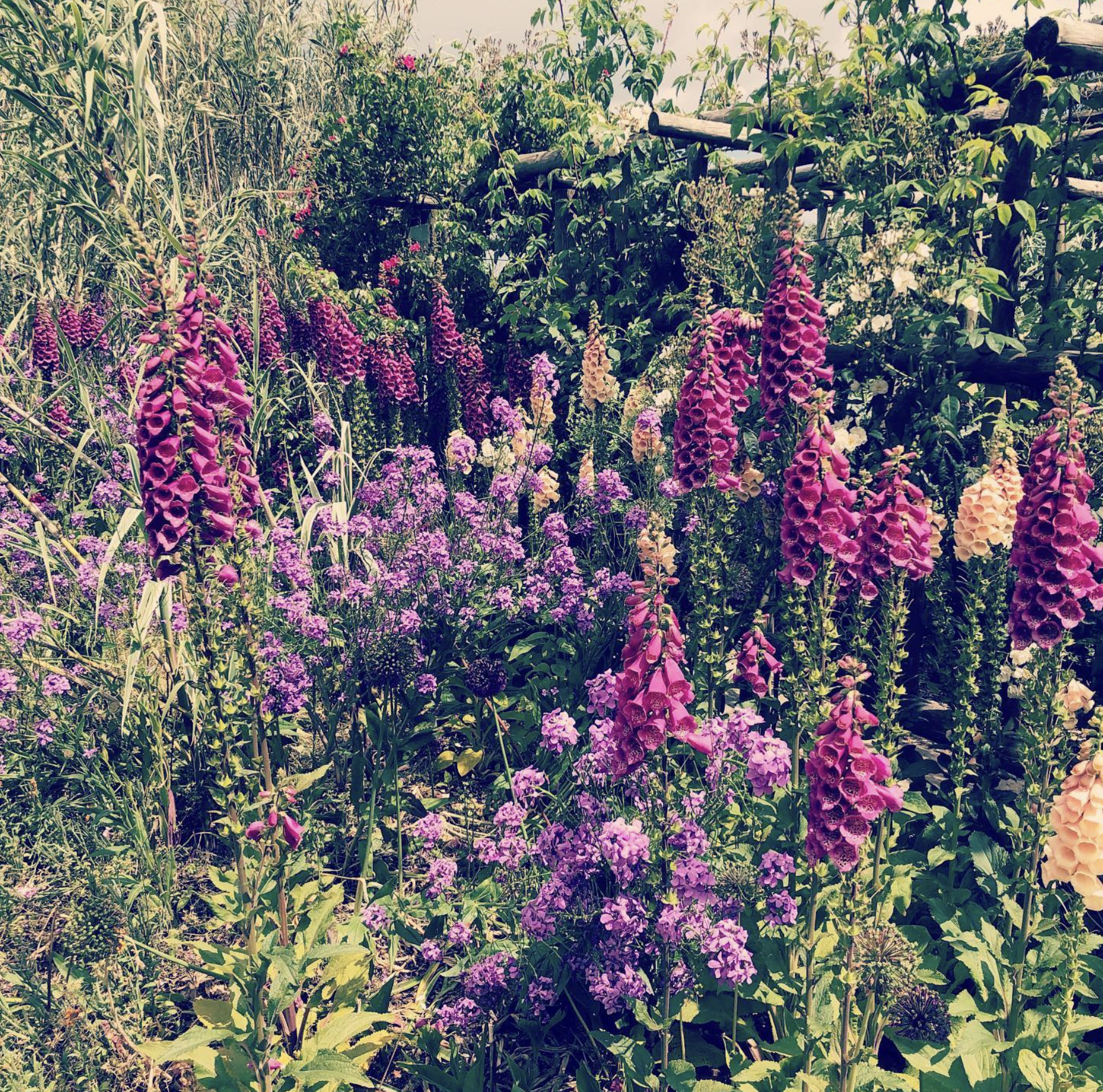 Screenshot 2024-03-06 at 19.35.19.png