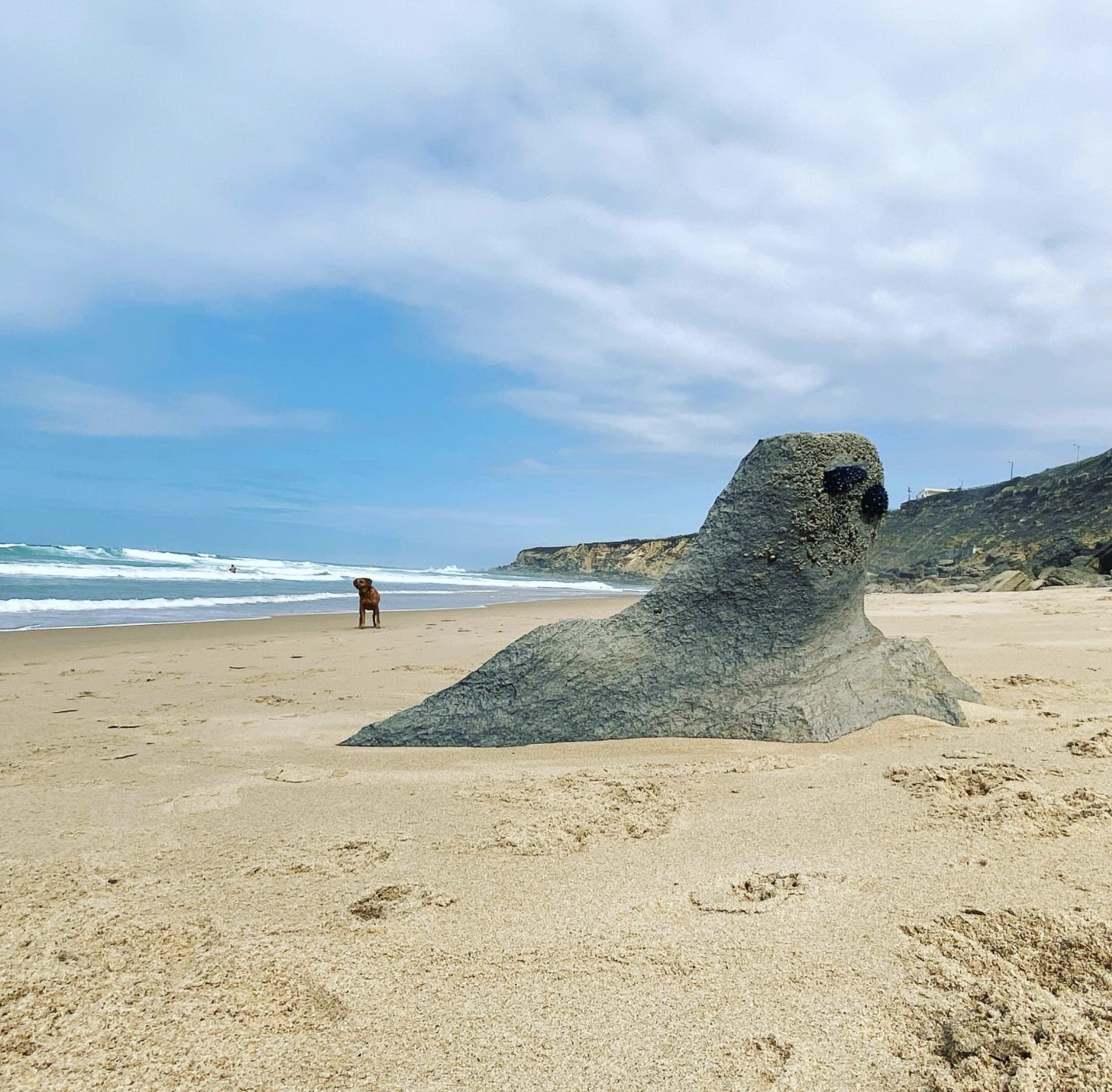 Screenshot 2024-03-06 at 19.09.58.png