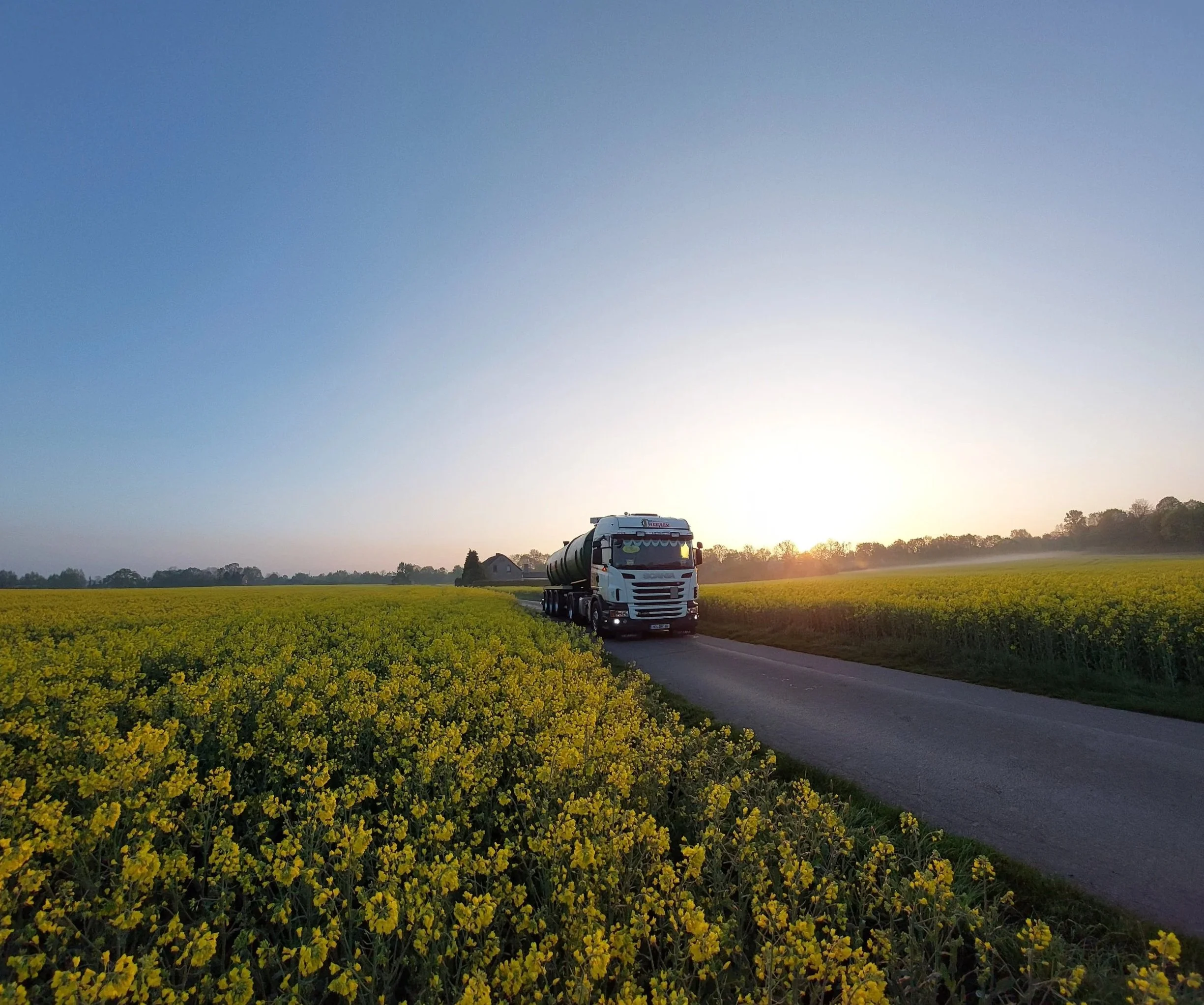 LKW fährt auf einer Landstraße durch eine gelbe Blumenwiese bei Sonnenaufgang.