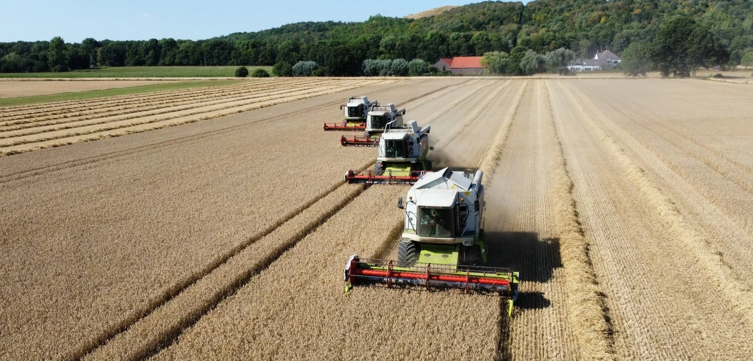 Vier moderne landwirtschaftliche Maschinen ernten auf einem großen Getreidefeld bei sonnigem Wetter.