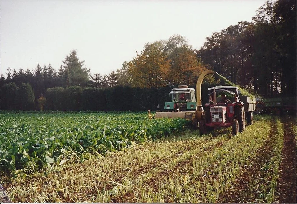 Traktor bei der Feldarbeit, zwei weitere Traktoren im Hintergrund, umgeben von Bäumen im Herbst.