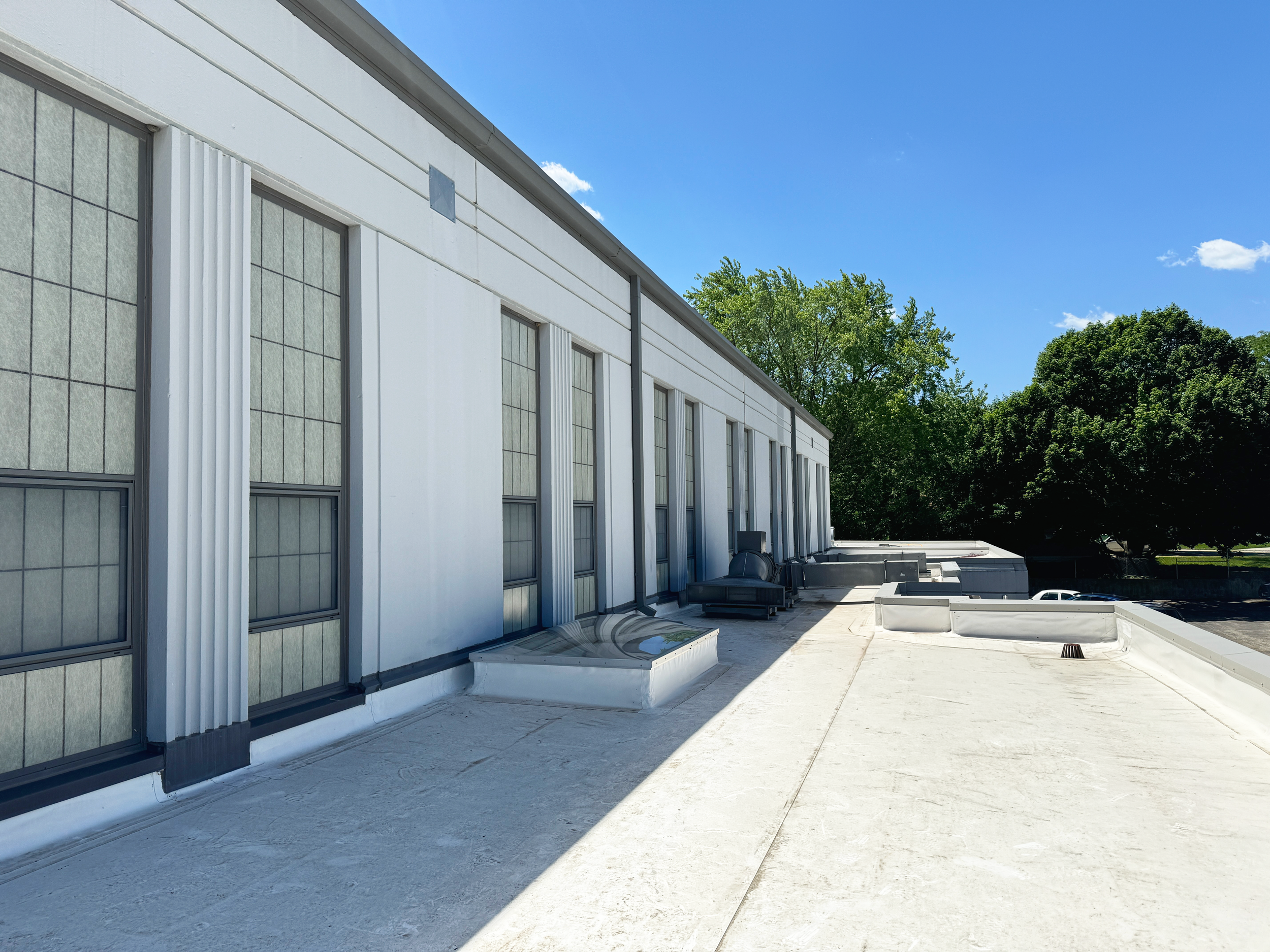 IMG_7367 edited 2.png