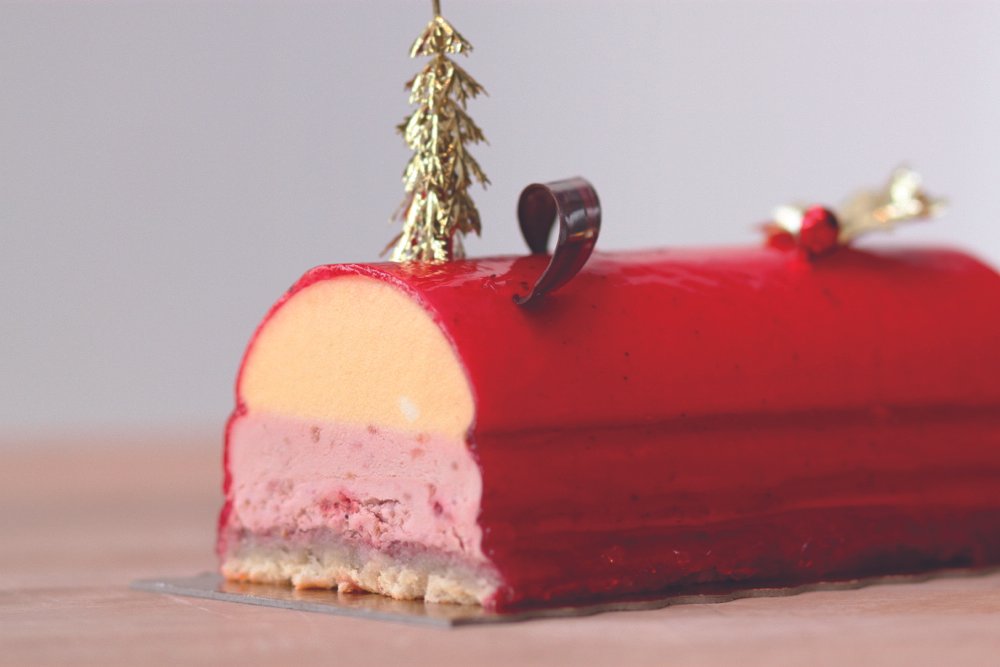 raspberry-passion-fruit-log-1.jpg