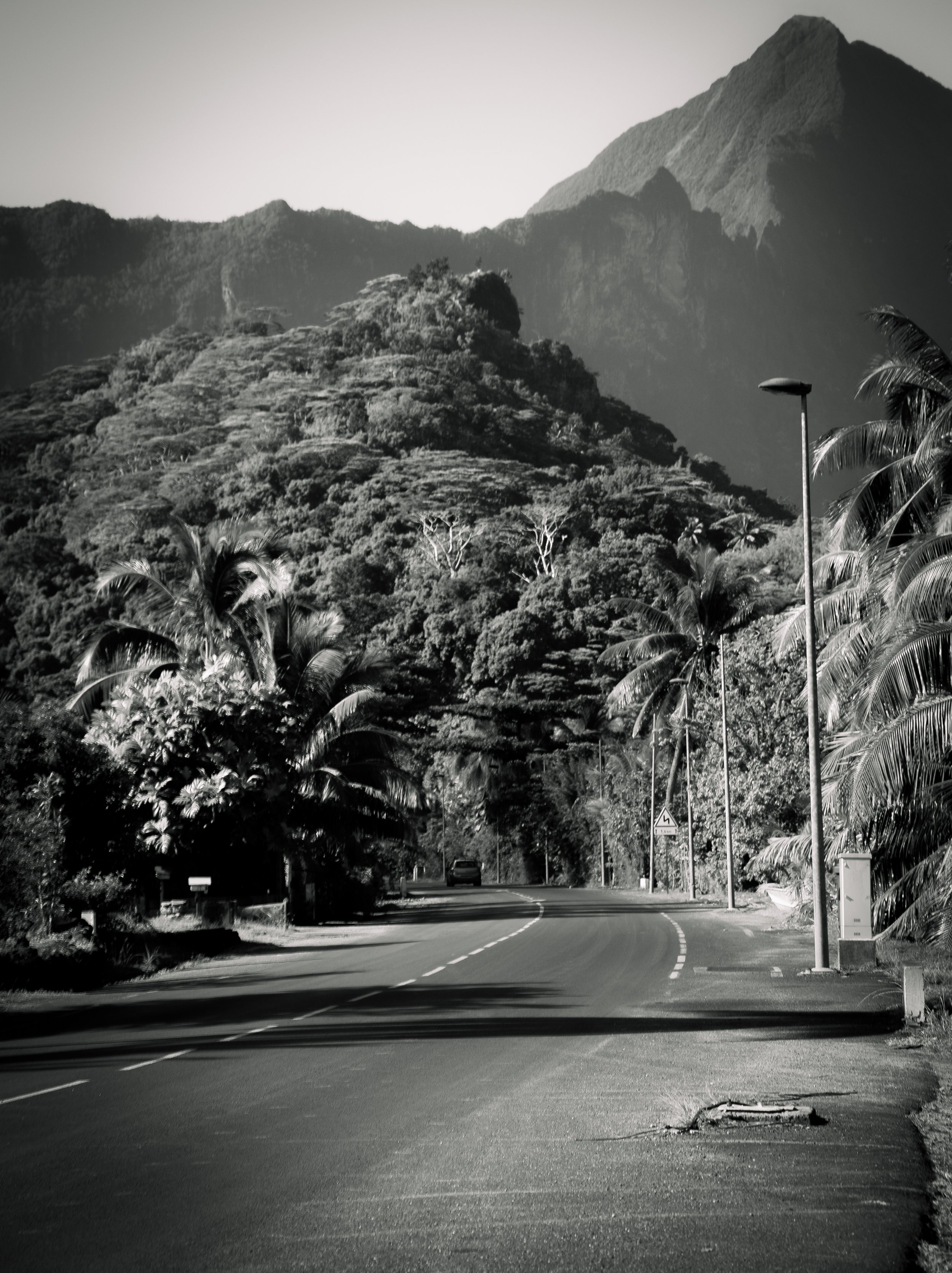 Tropical Journey, Cook's Bay