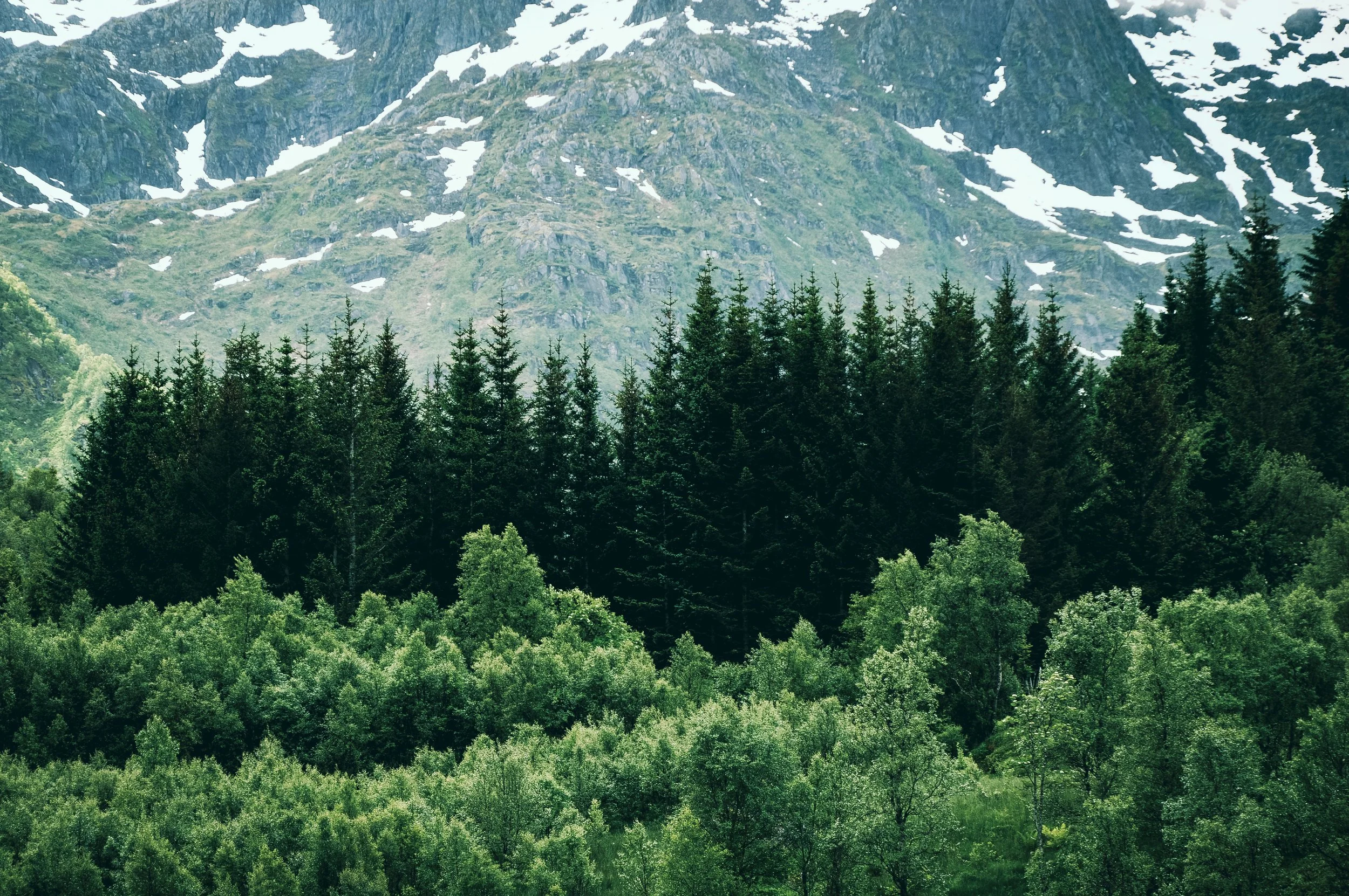 Nature's Layers, Kjerkfjorden
