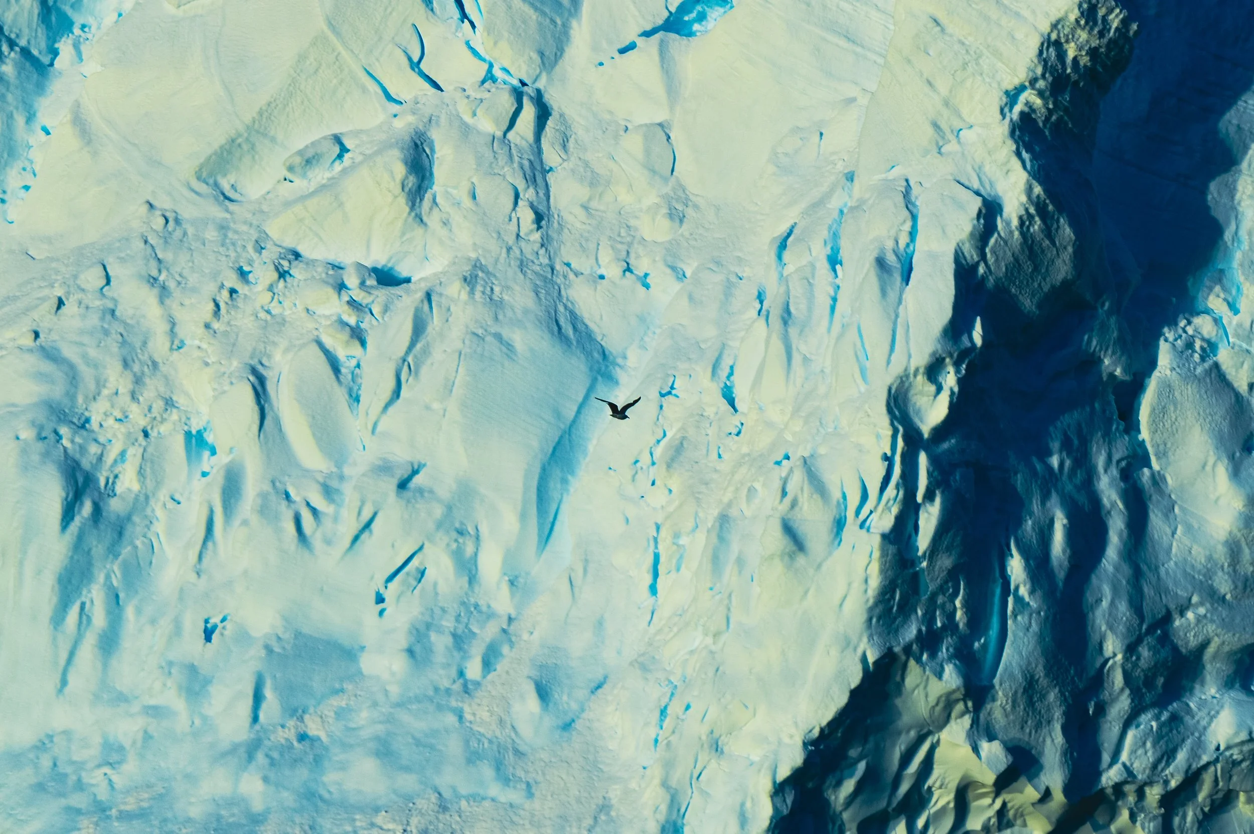 Free Bird, Lemaire Channel