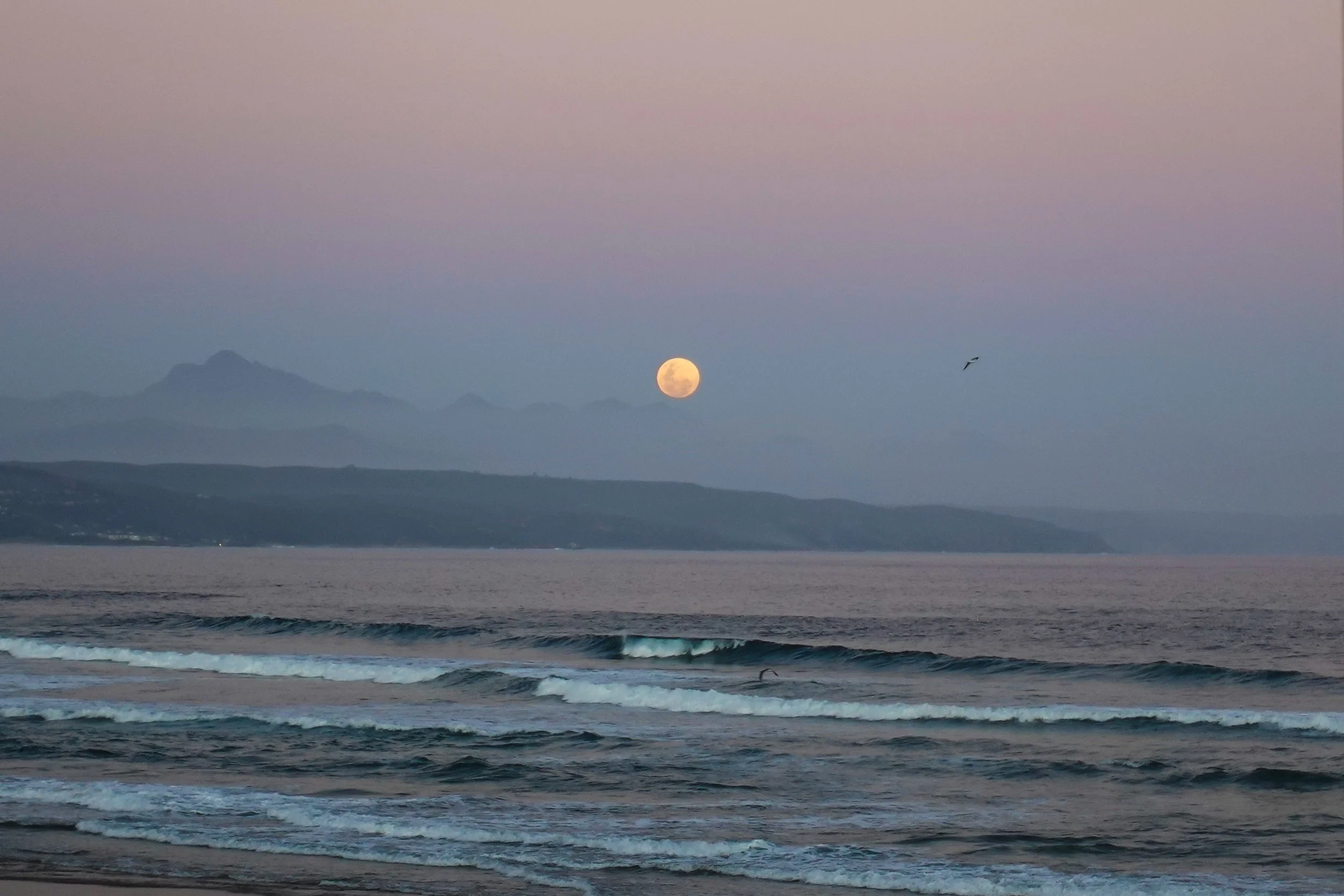 Moonrise, Plettenburg Bay